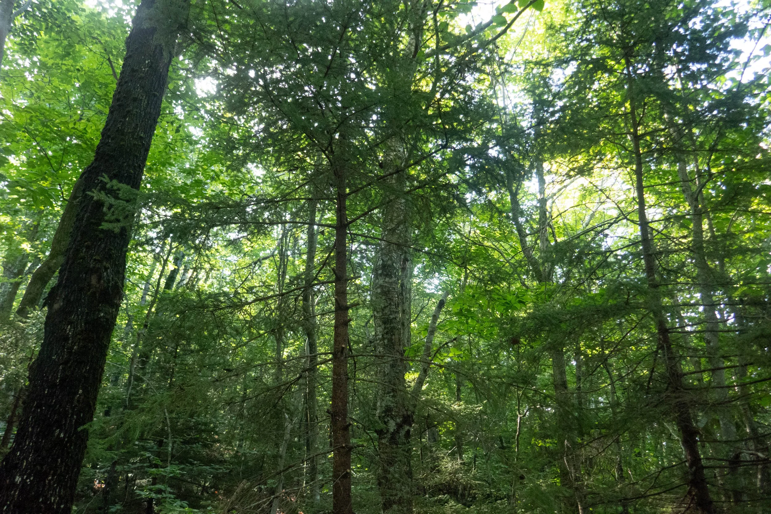 WEB-1400146.jpg
