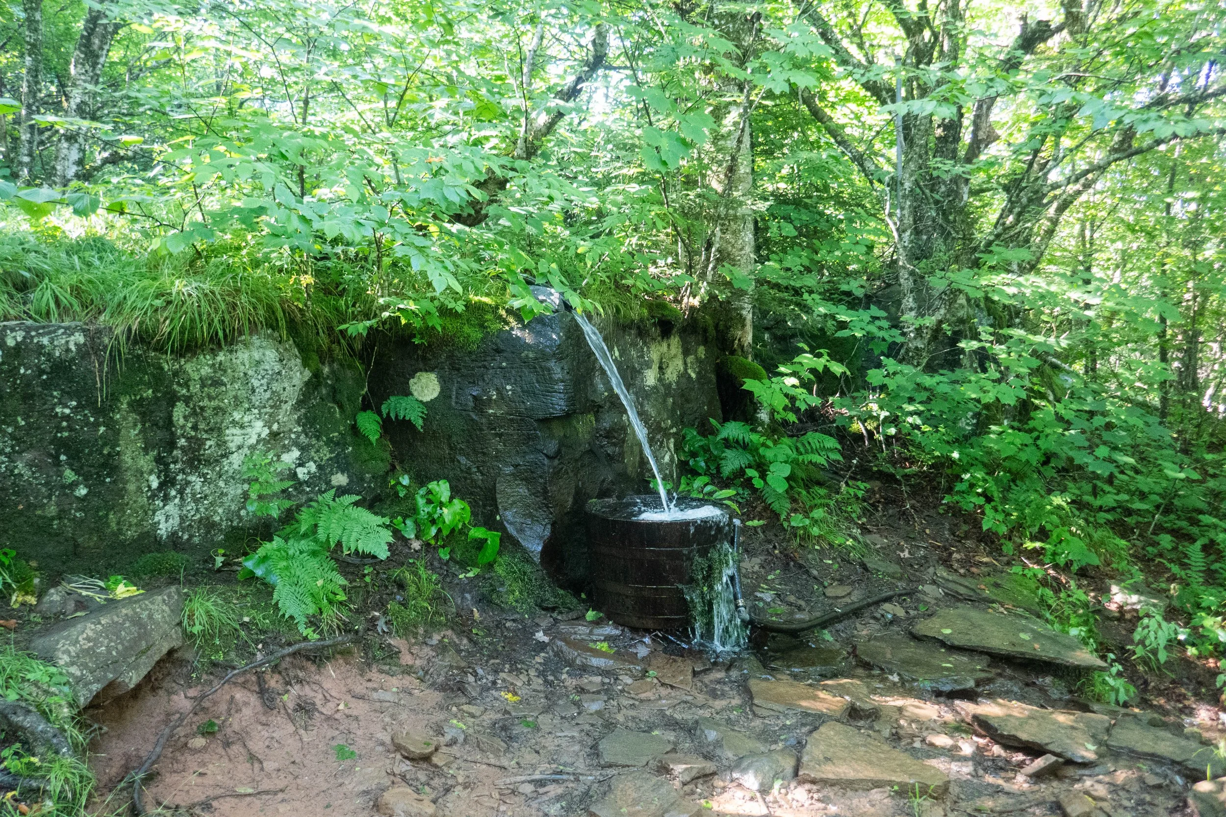 WEB-1400147.jpg