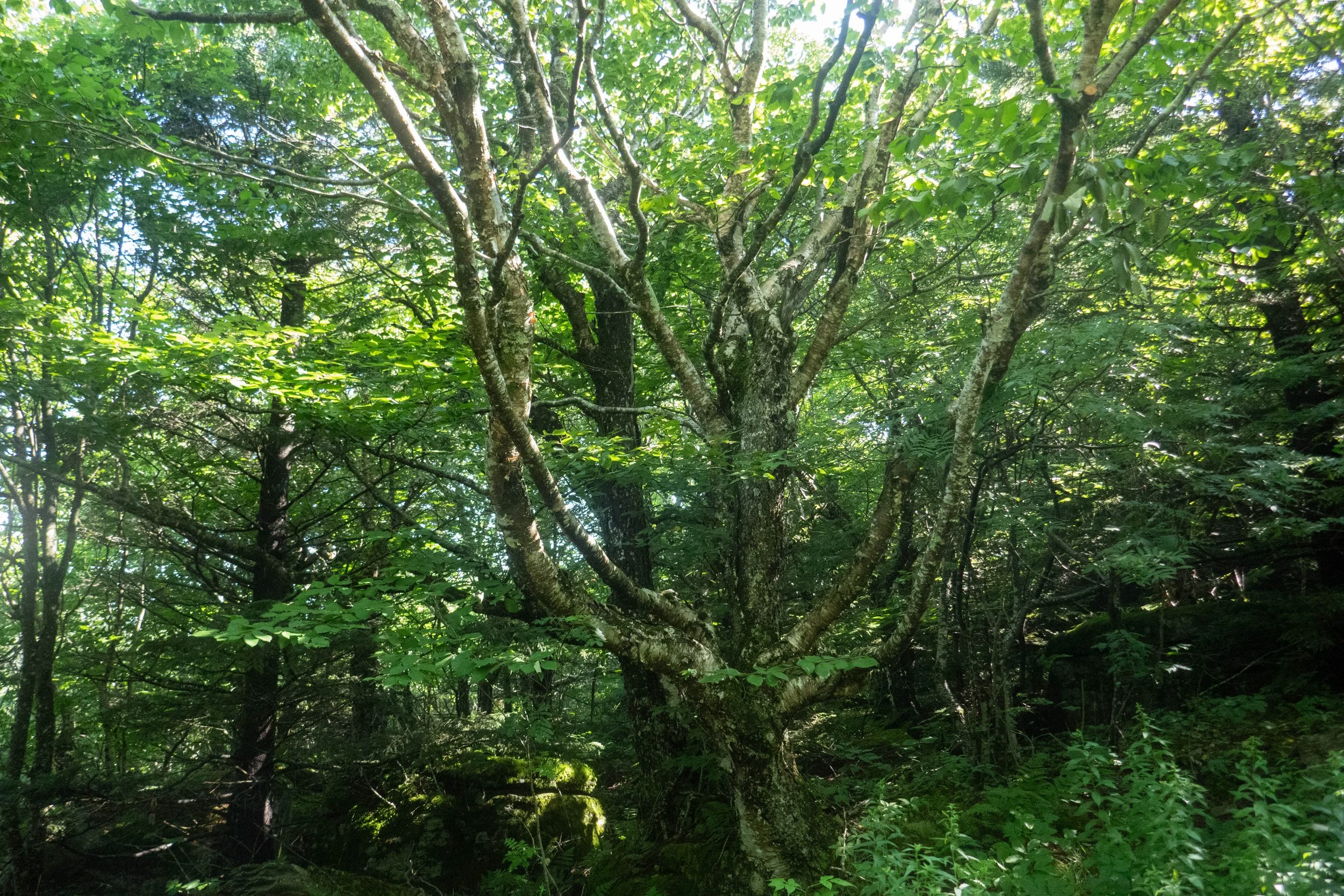 WEB-1400152.jpg