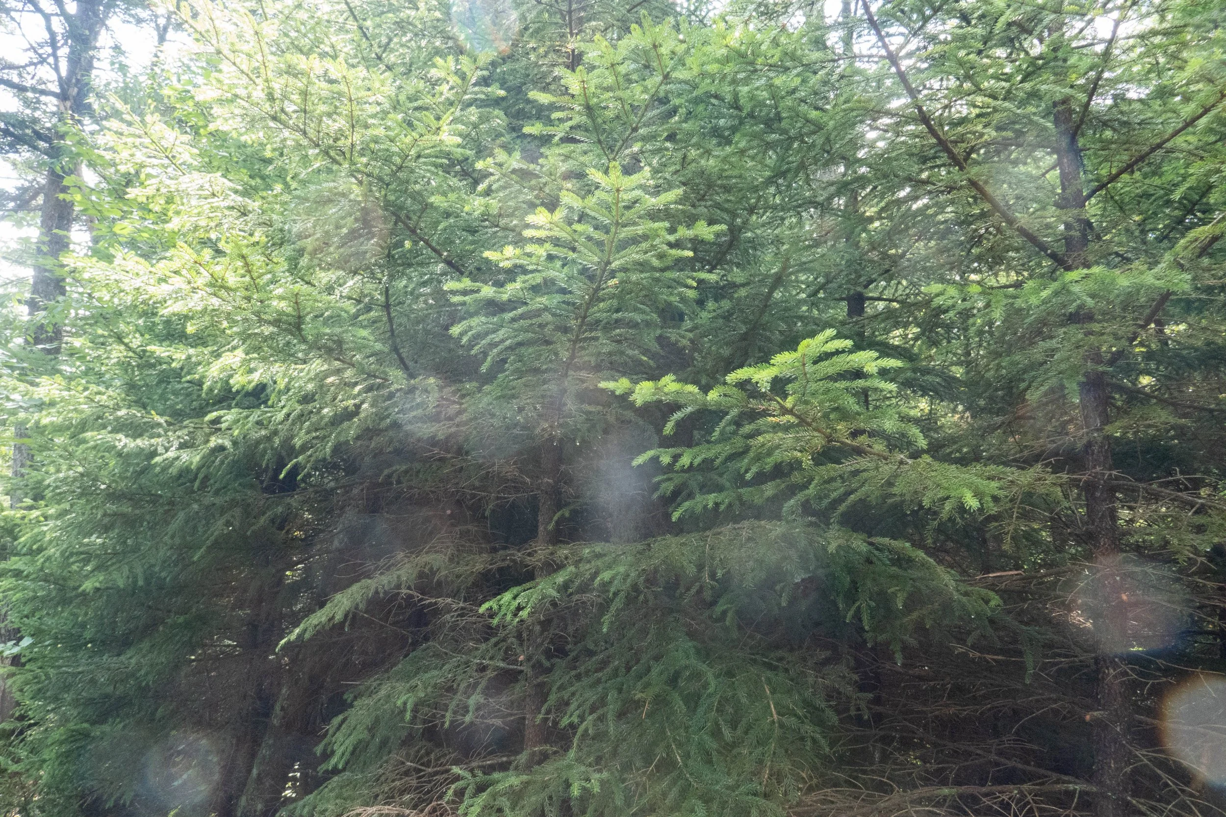 WEB-1400181.jpg