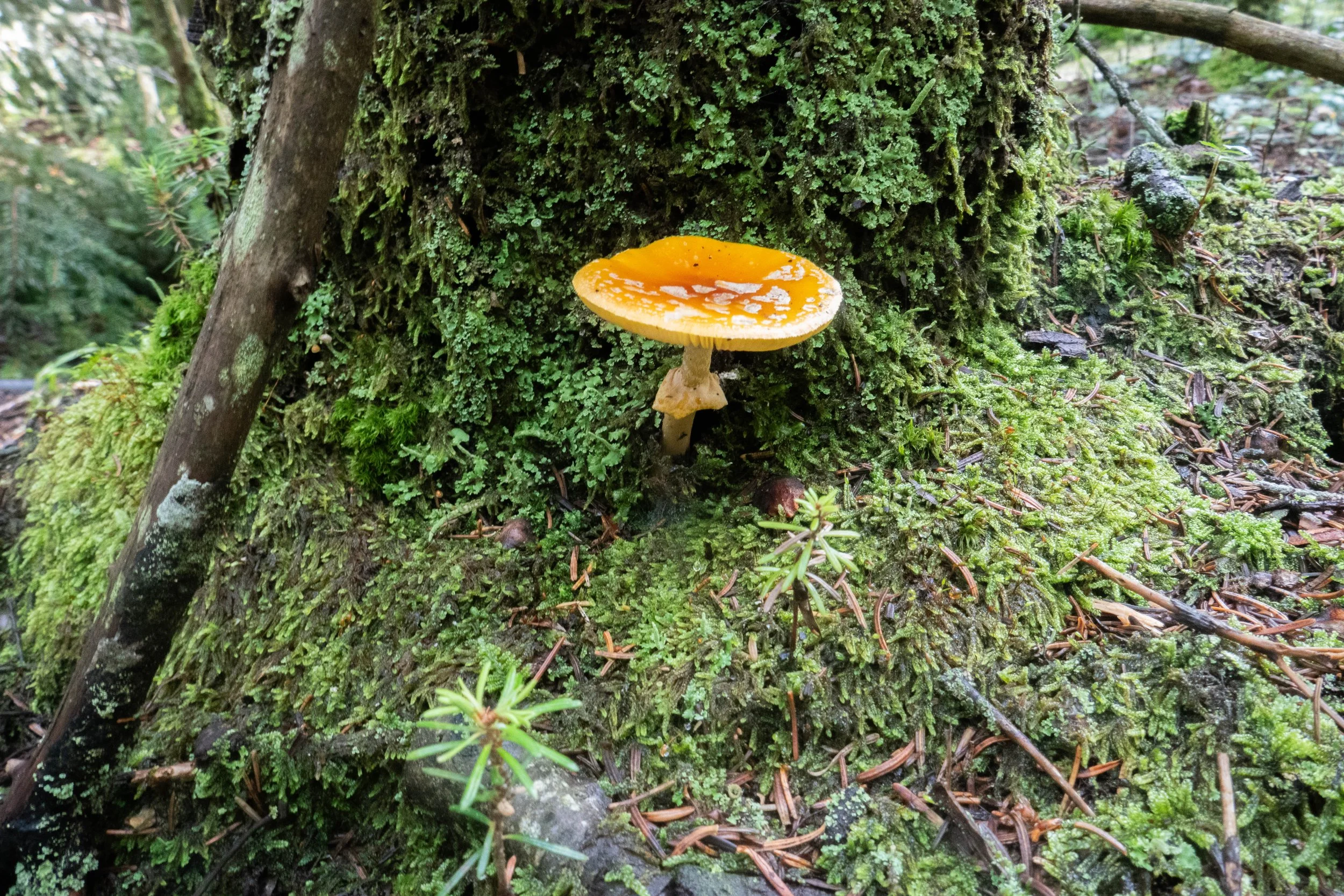 WEB-1400184.jpg