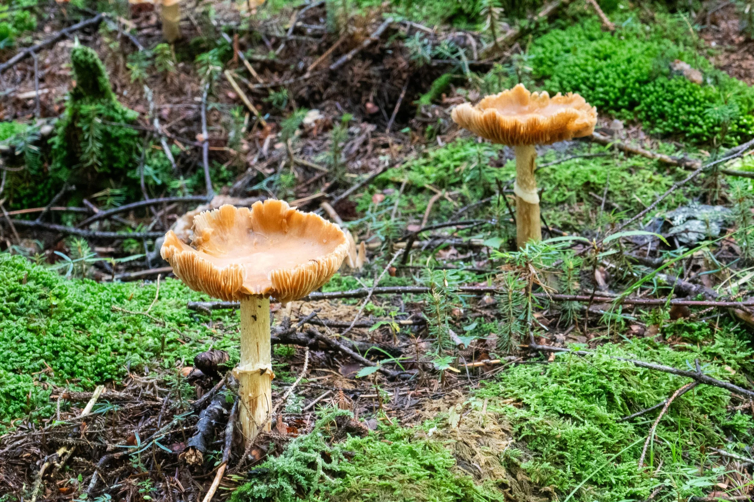 WEB-1400189.jpg