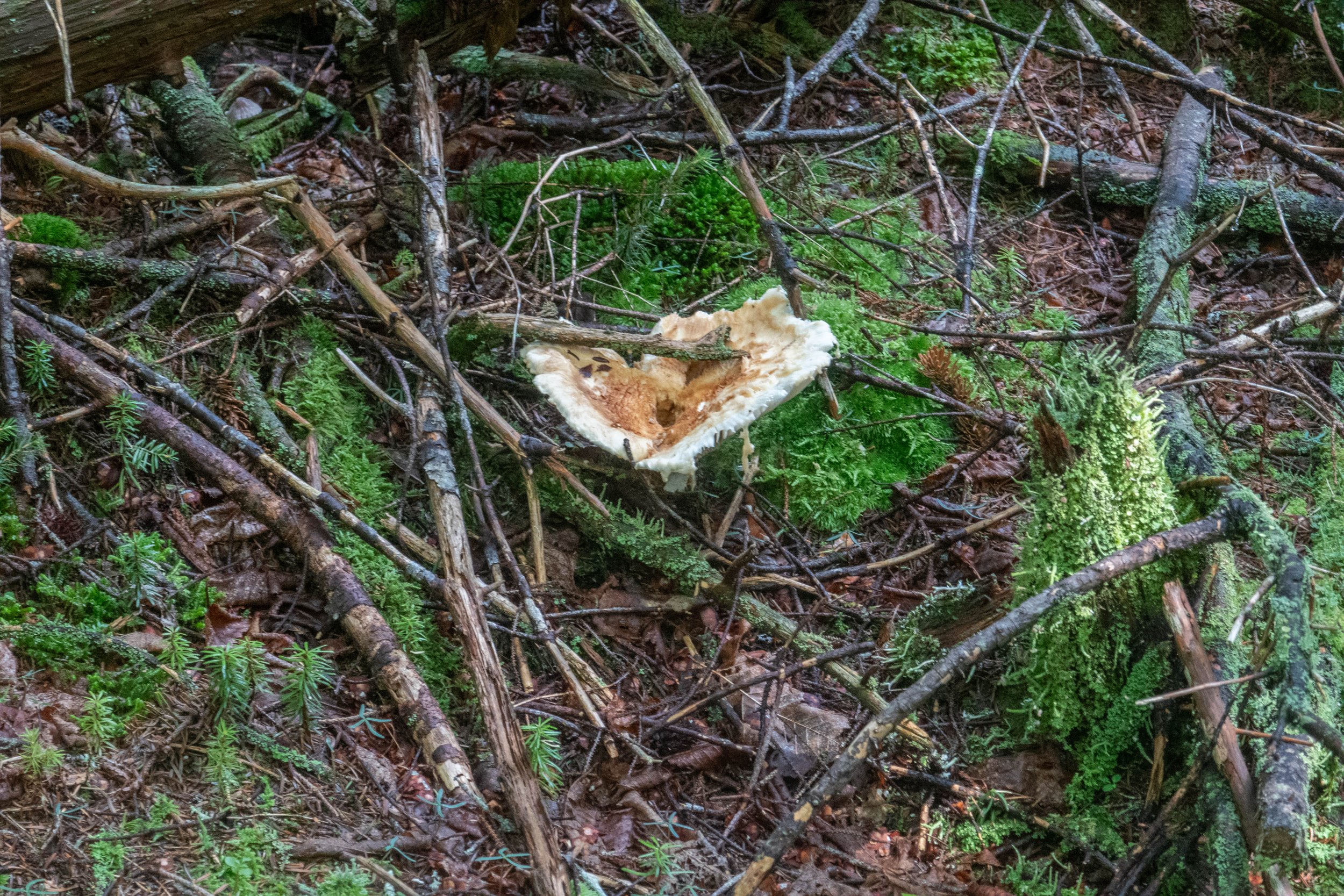 WEB-1400190.jpg