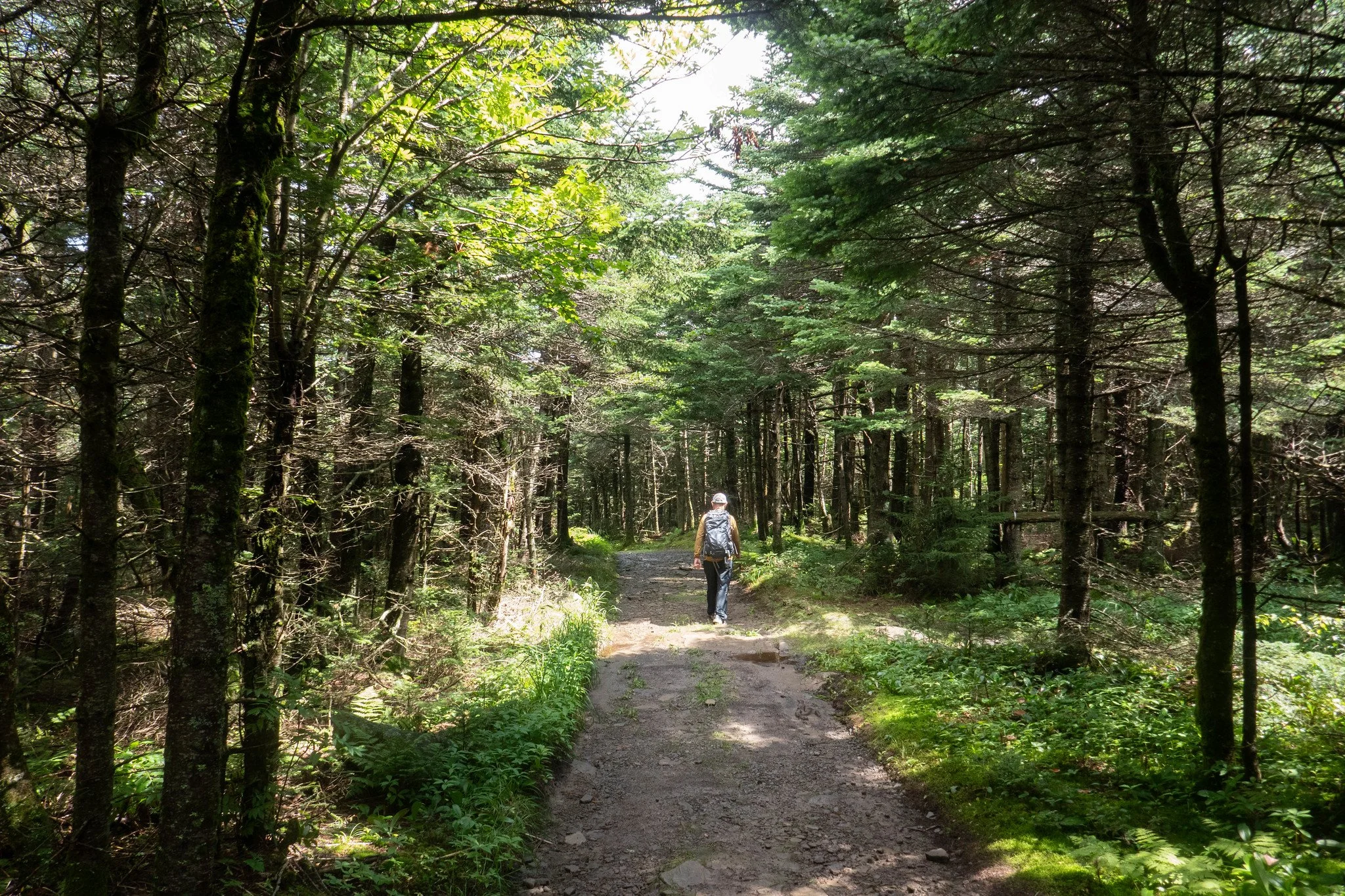 Catskill Mountains, Hunter Mountain via Spruceton Trail