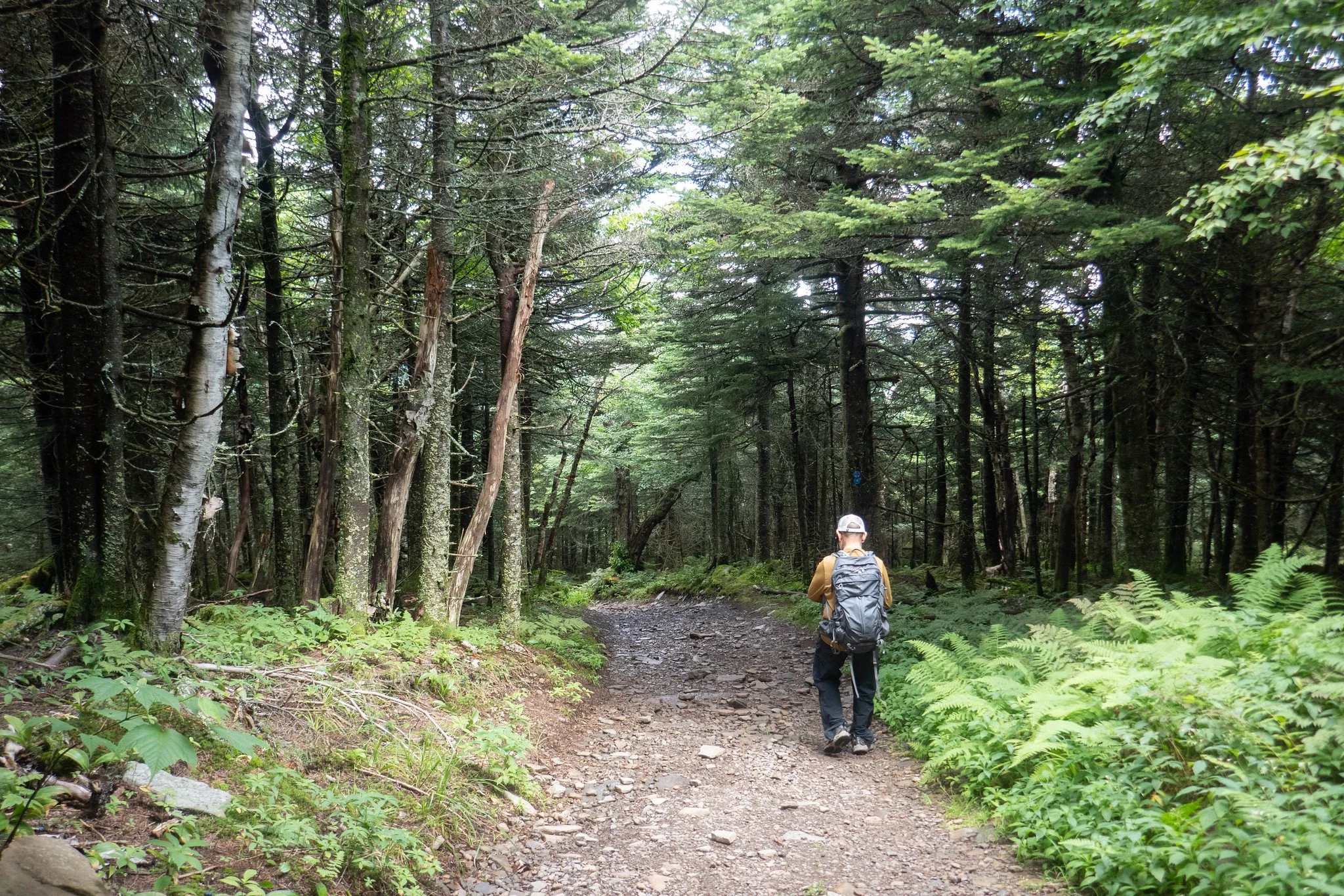 Catskill Mountains, Hunter Mountain via Spruceton Trail