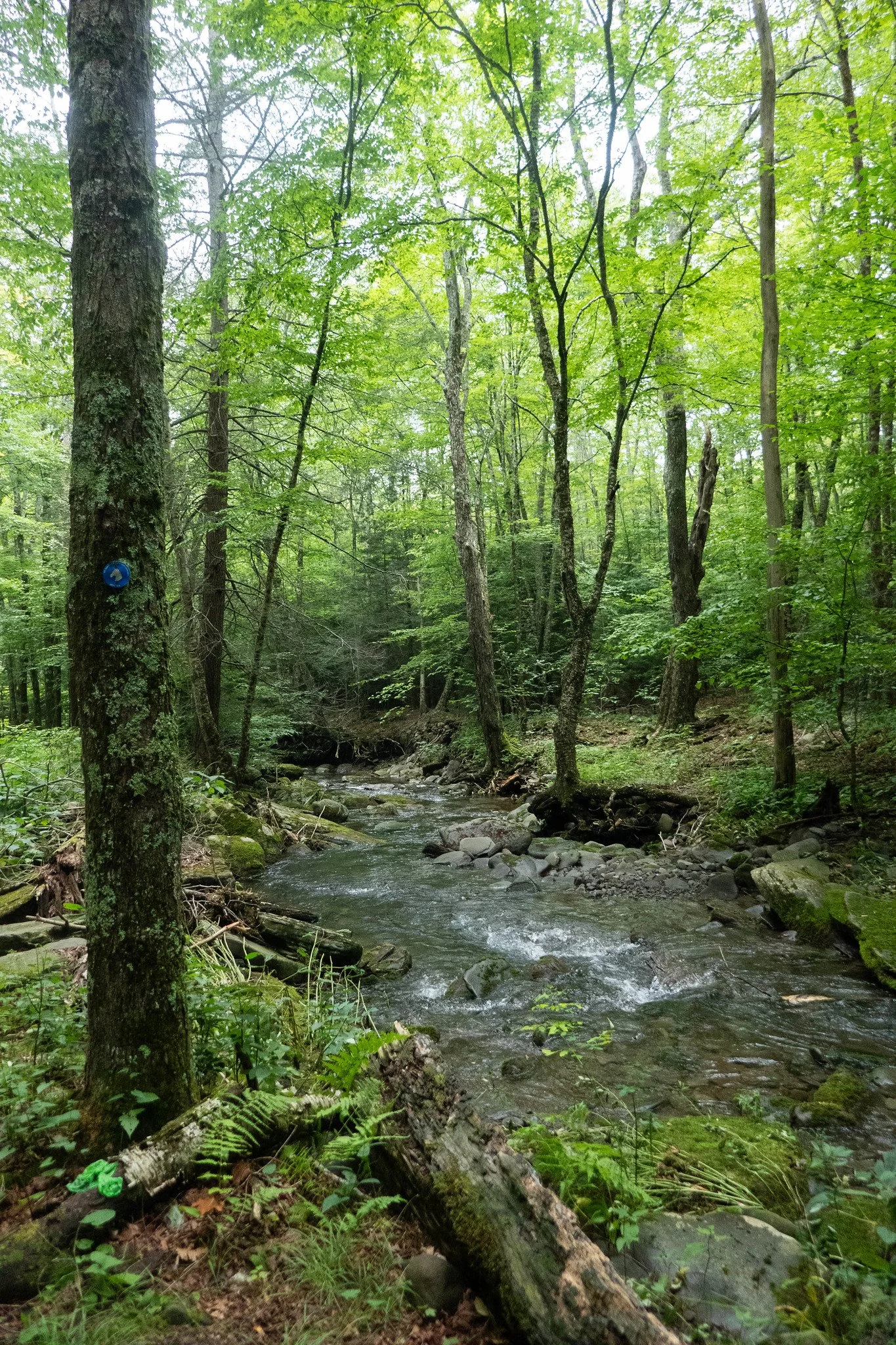 Catskill Mountains, Hunter Mountain via Spruceton Trail
