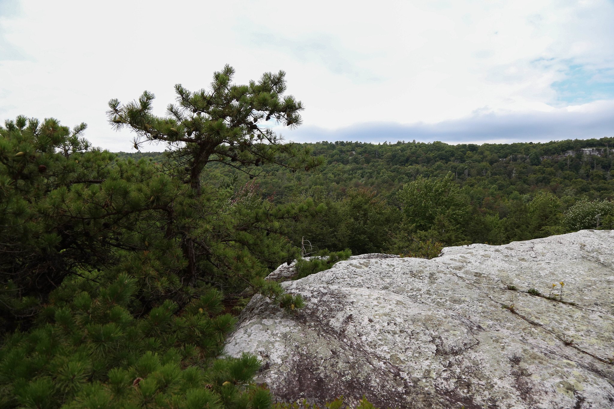 Minnewaska State Park, Millbrook Mountain Lookout