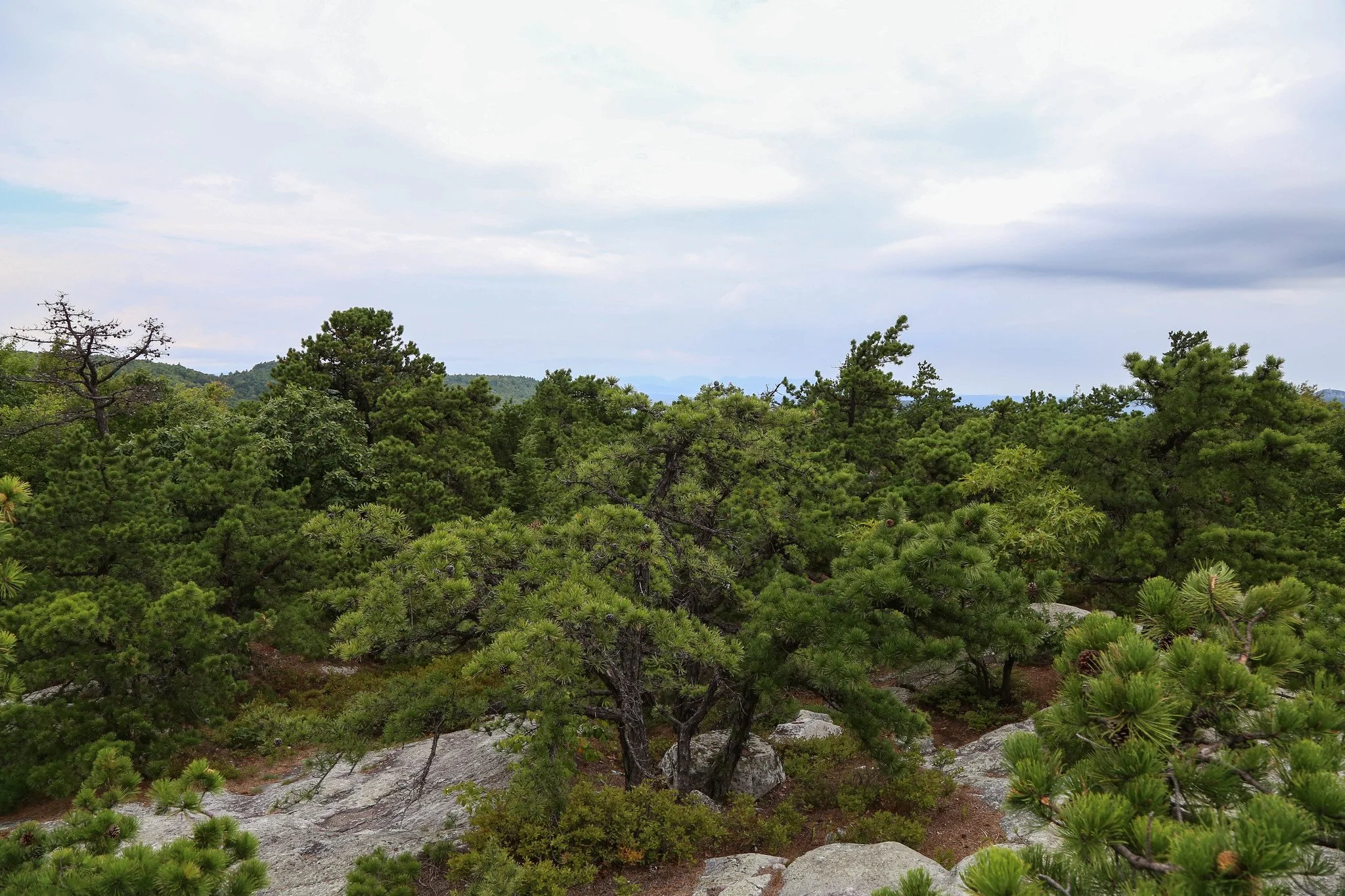 Minnewaska State Park, Millbrook Mountain Lookout