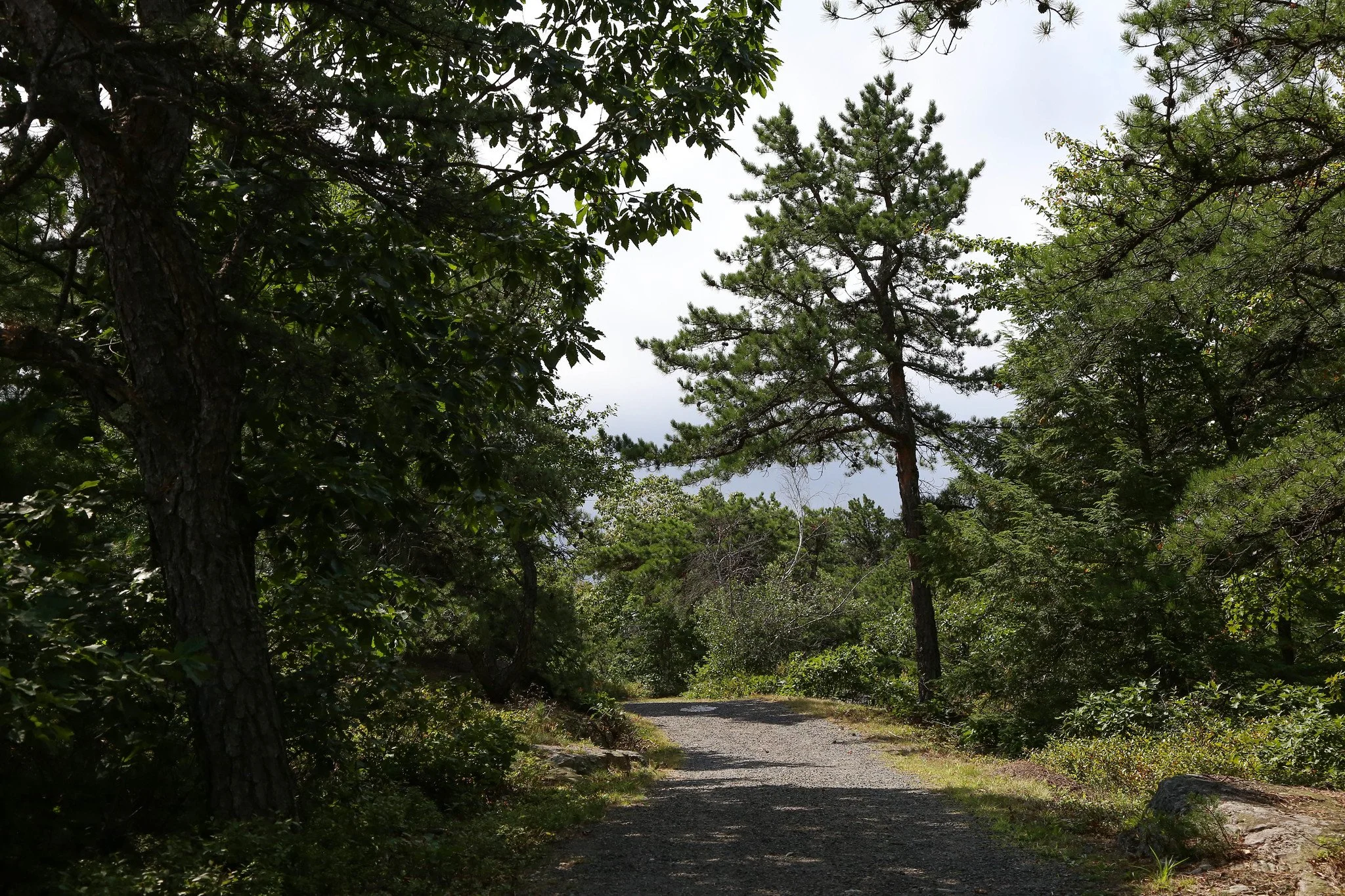 Minnewaska State Park, Millbrook Mountain Lookout