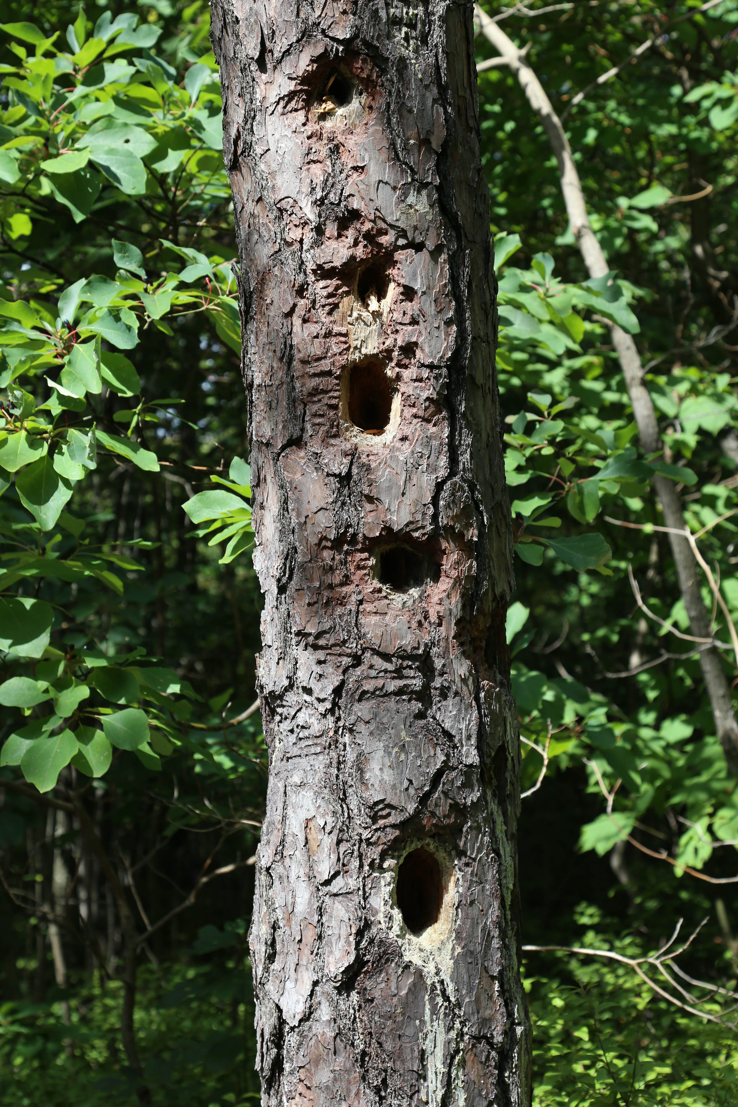 WEB-3155.jpg