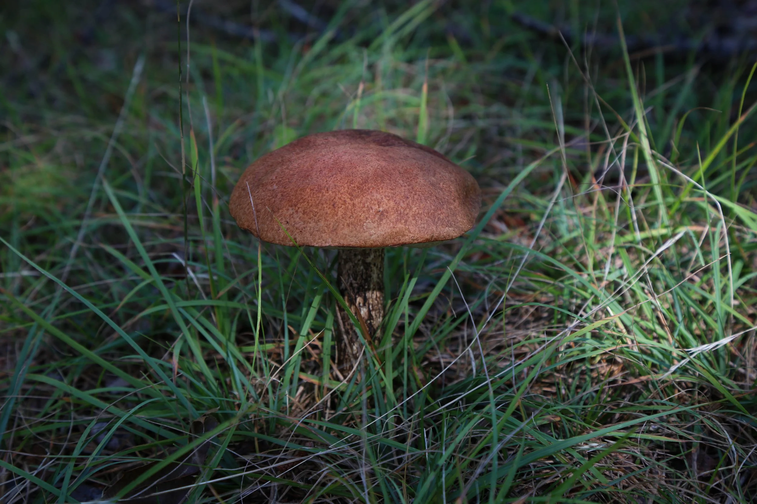 WEB-3161.jpg
