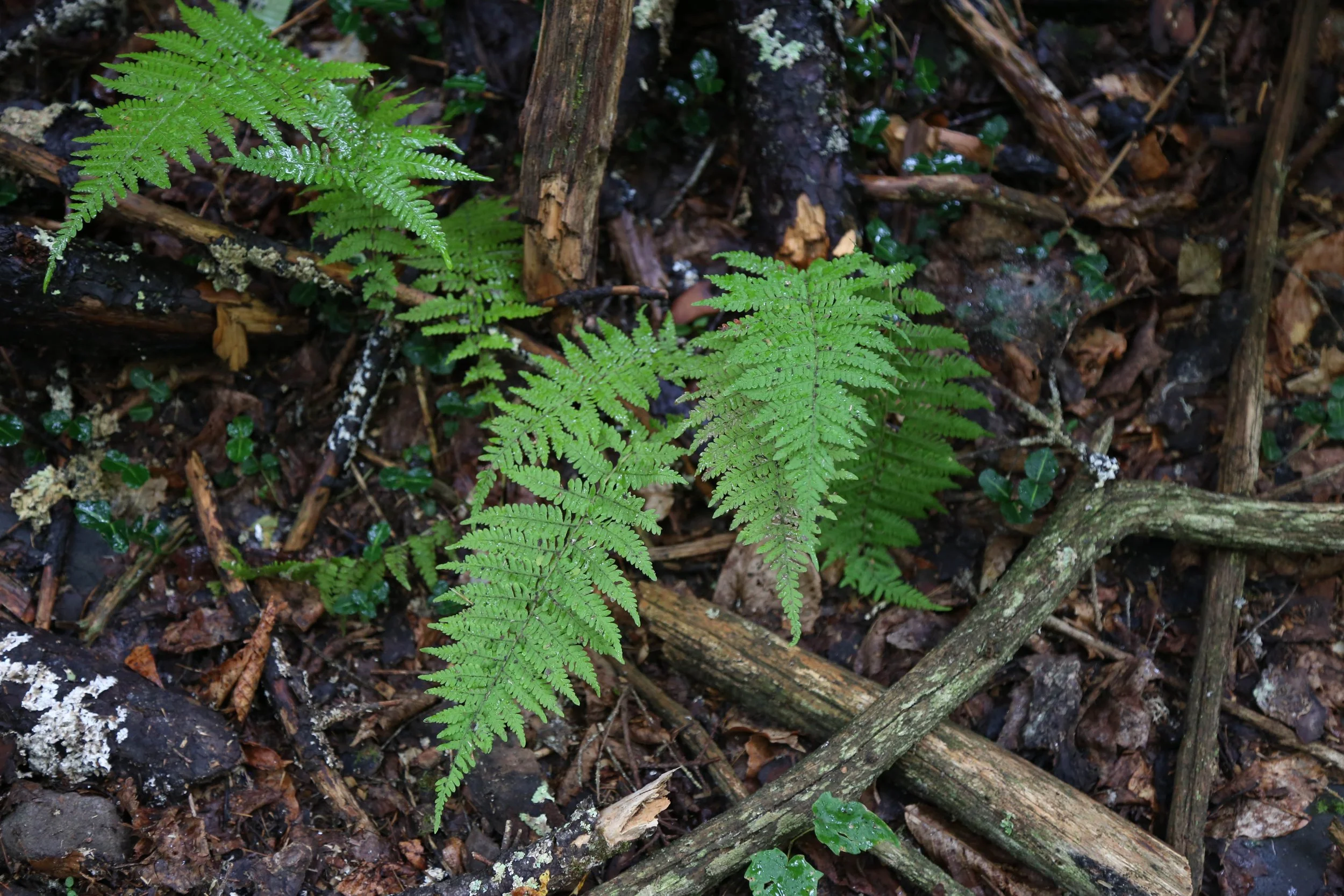 WEB-3254.jpg