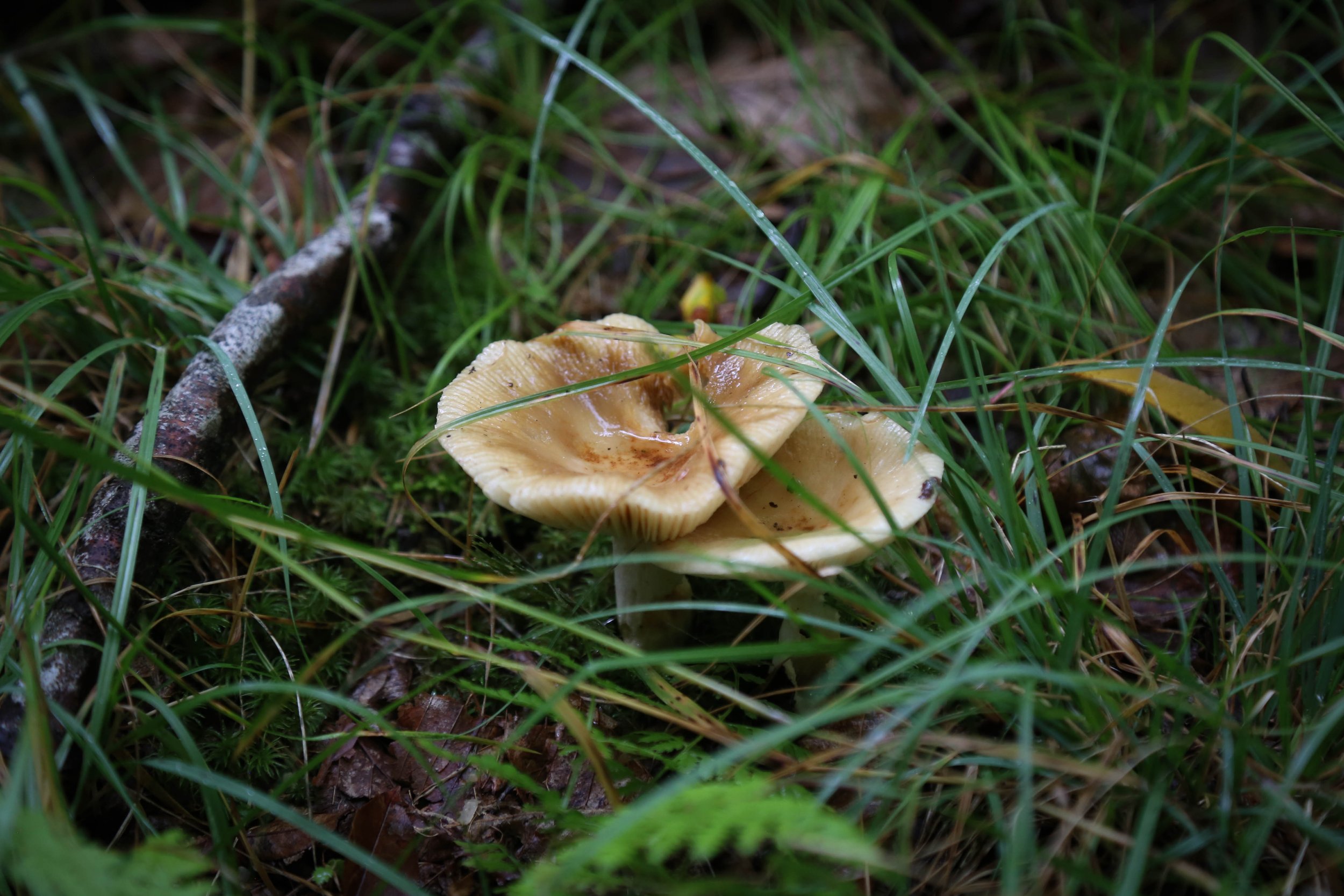WEB-3259.jpg