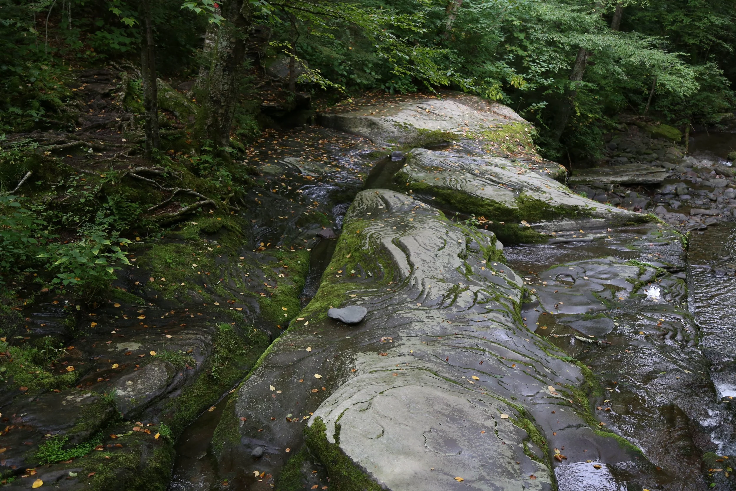 WEB-3268.jpg