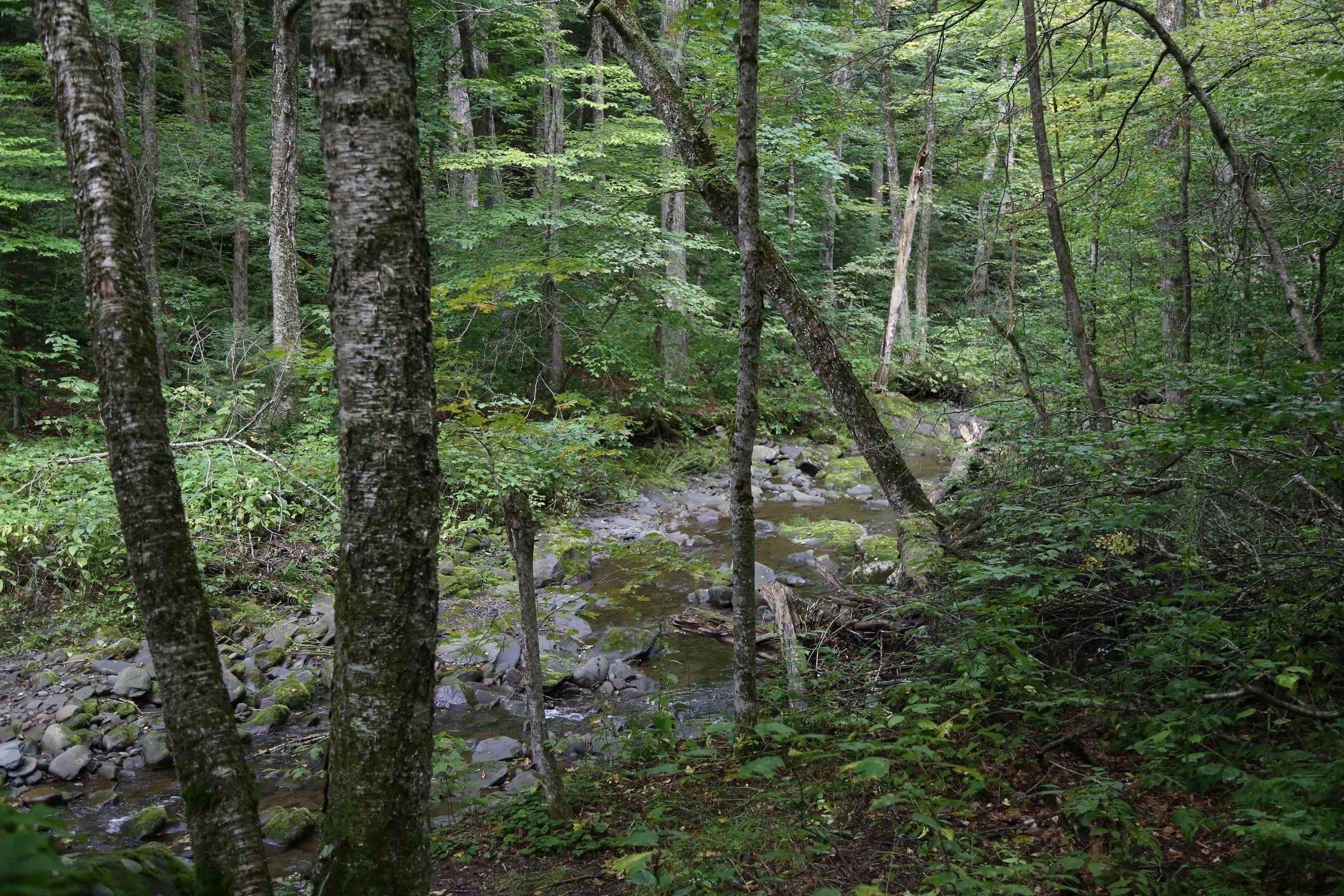 WEB-3279.jpg