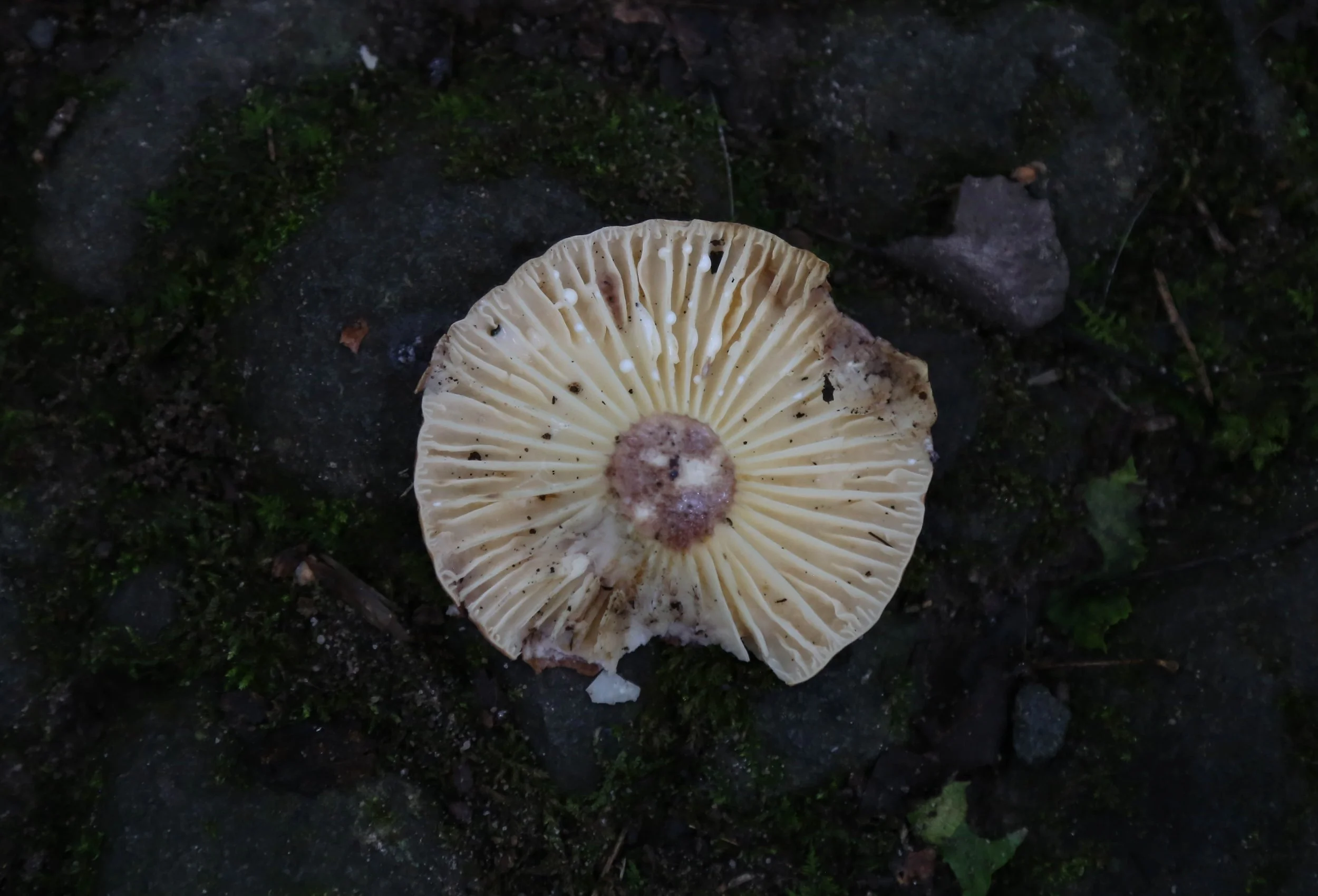 WEB-3299.jpg