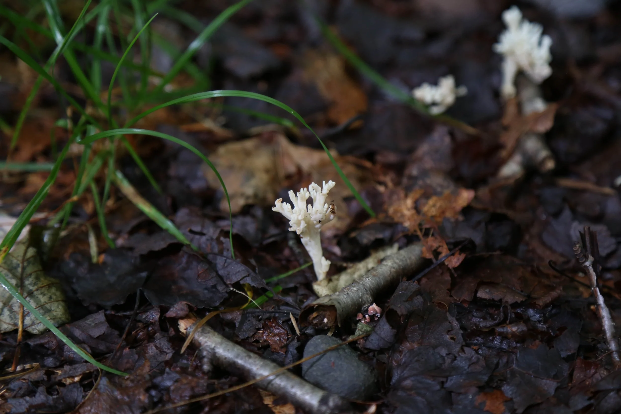 WEB-3322.jpg