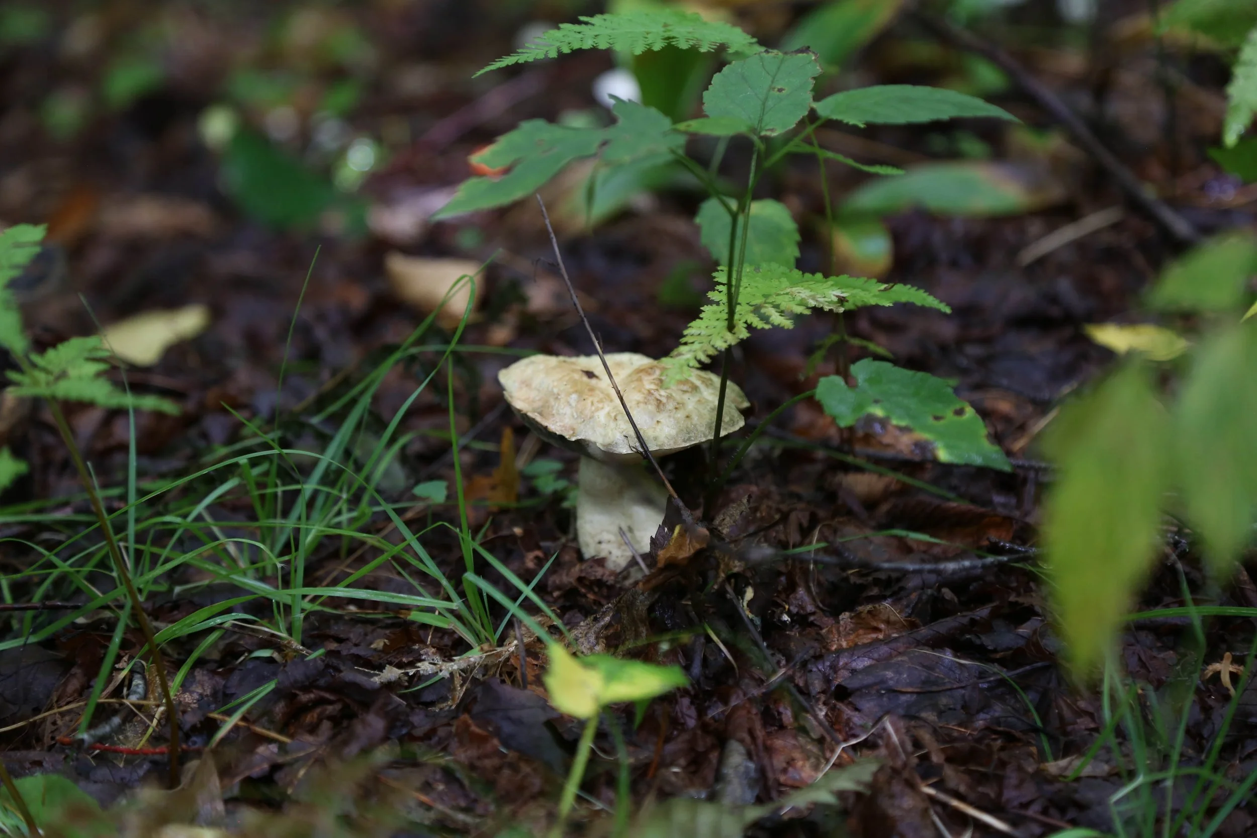 WEB-3323.jpg