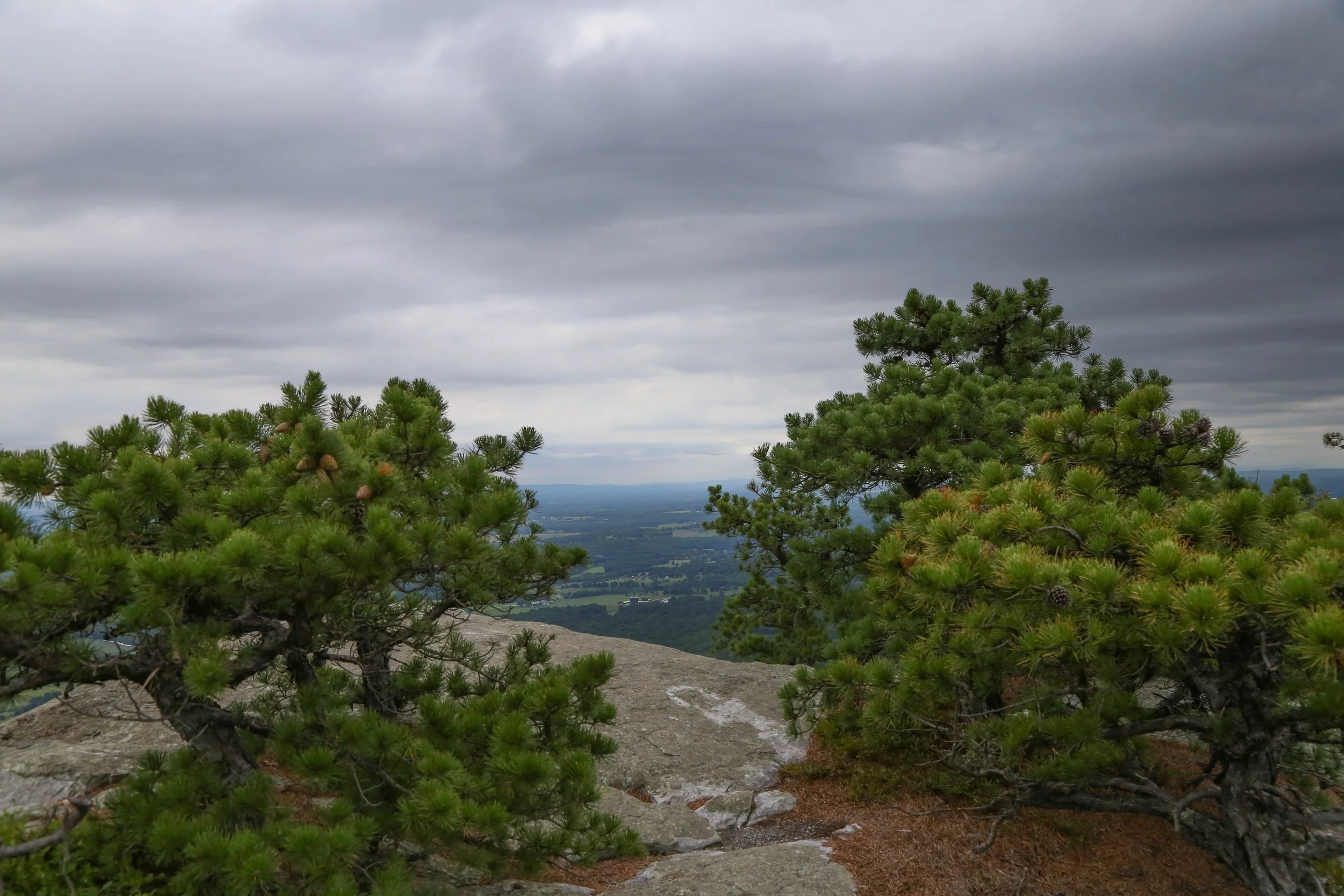 Minnewaska State Park Preserve, Millbrook Mountain Carriage Road, Approx. 6 Miles Out &amp; Back, August 30, 2026