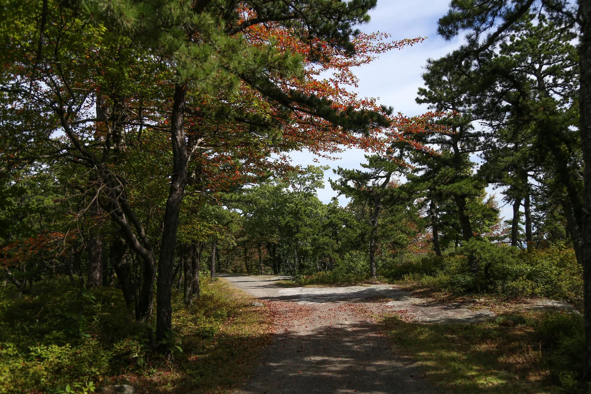 Minnewaska State Park Preserve, Hamilton Point and Castle Point
