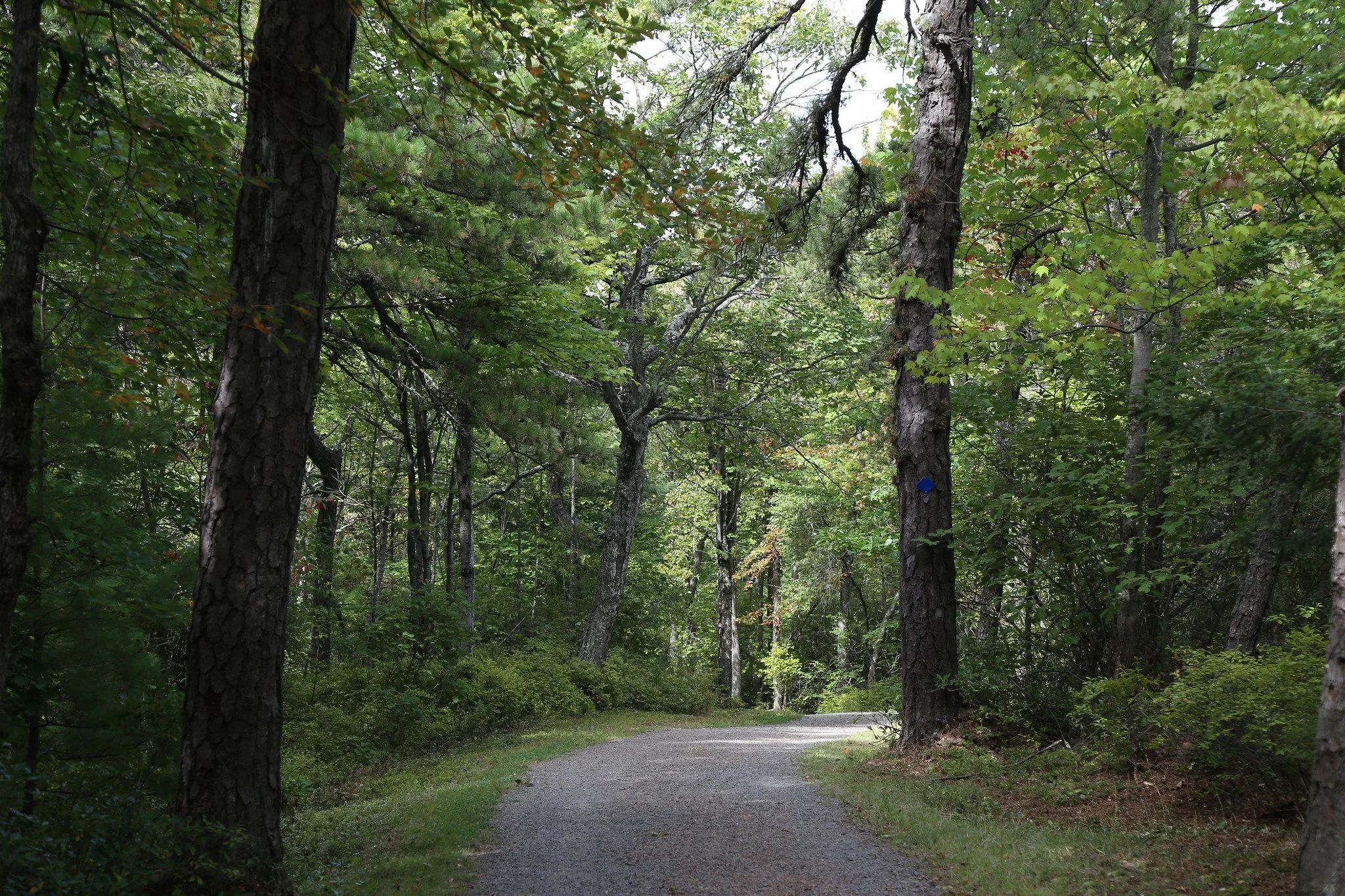 Minnewaska State Park Preserve, Hamilton Point and Castle Point