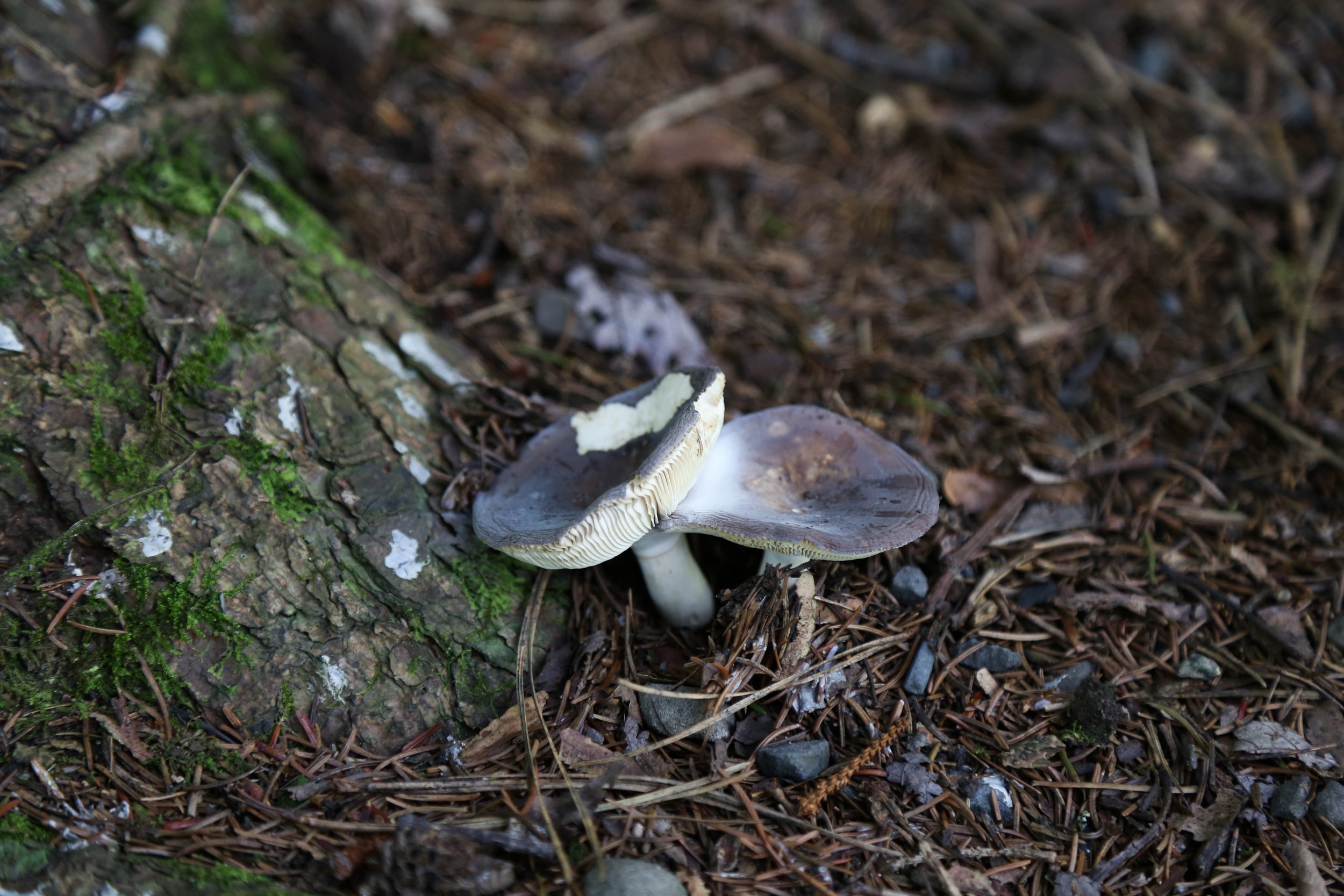 WEB-3328.jpg