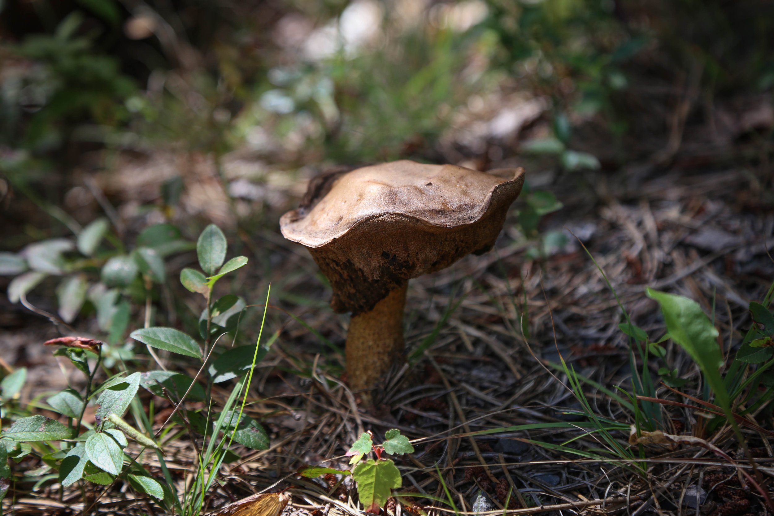 WEB-3415.jpg