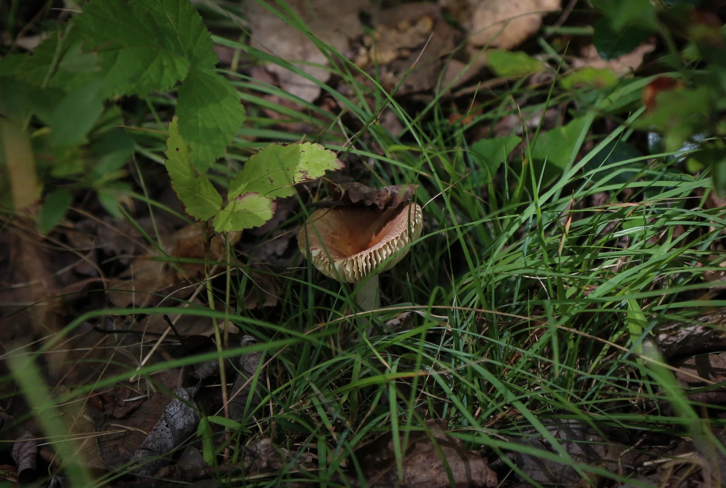 WEB-3470.jpg