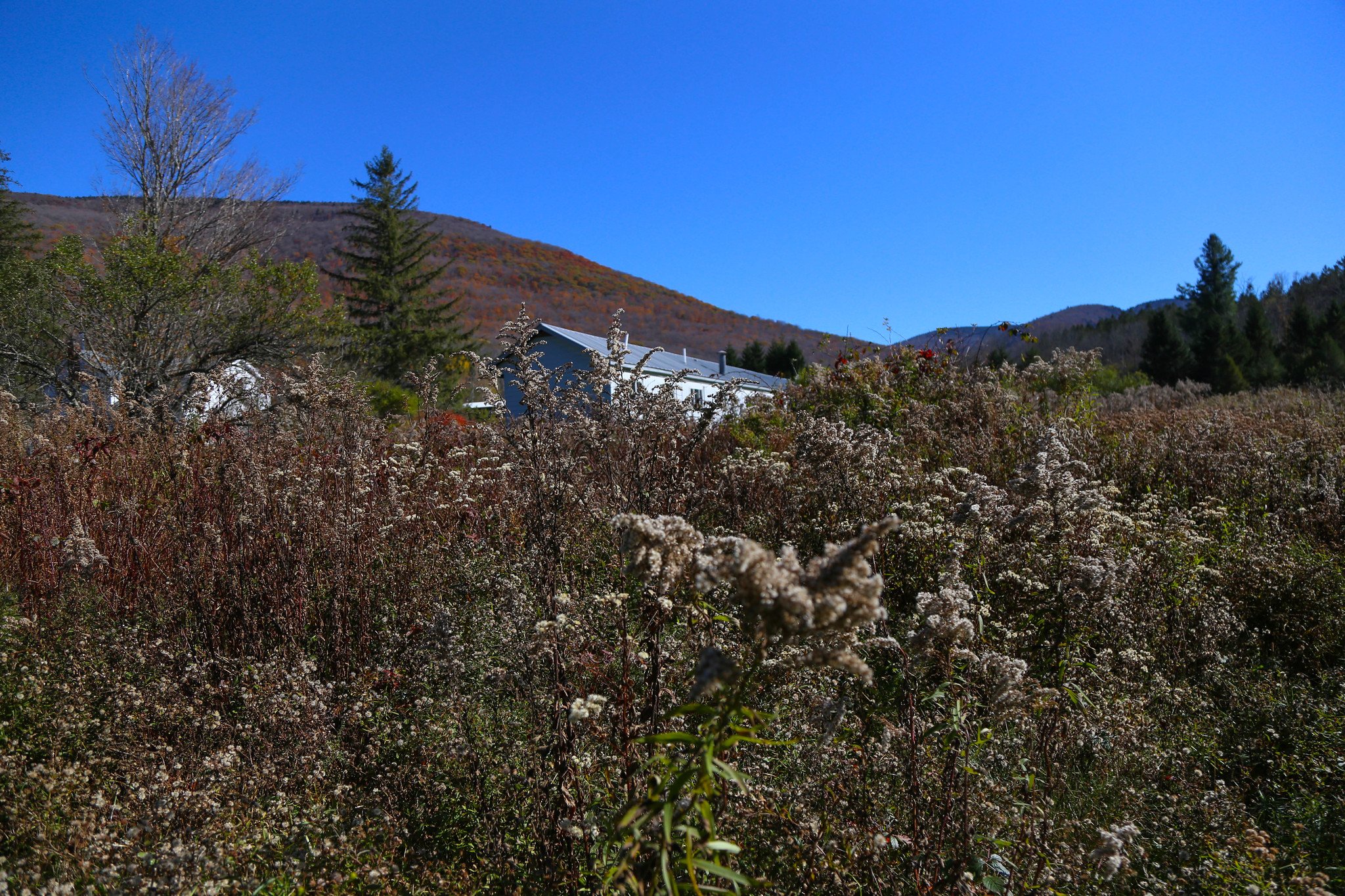 Spruceton Inn, Catskill Mountains