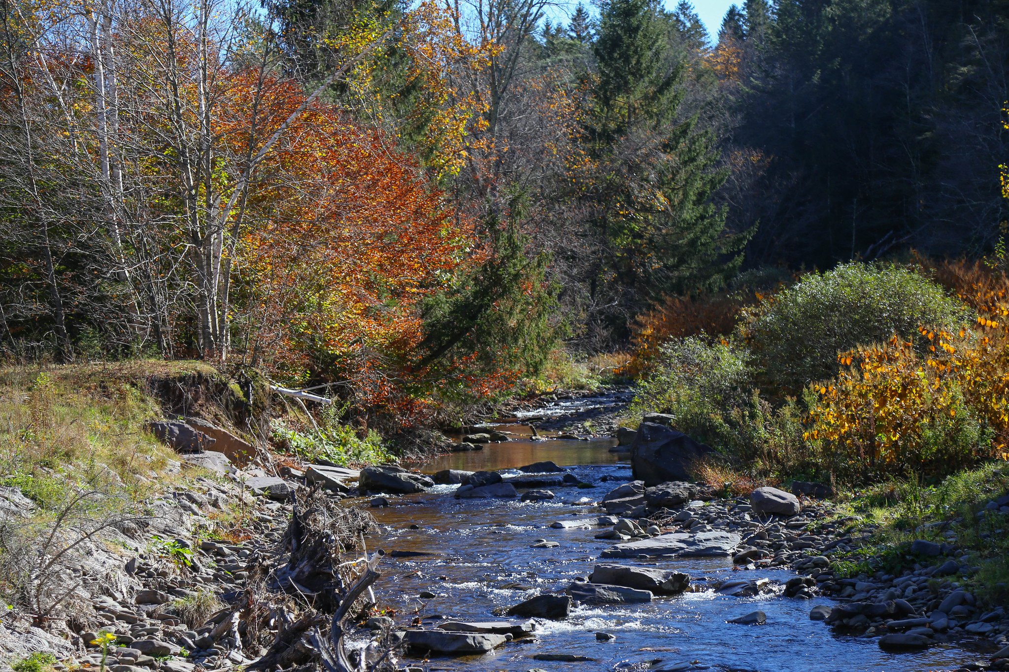 Spruceton Inn, Catskill Mountains