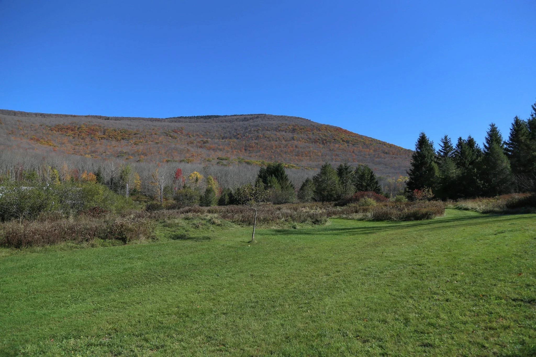 Spruceton Inn, Catskill Mountains