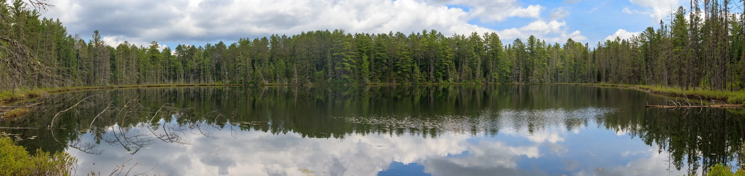 Algonquin Lake, 2016
