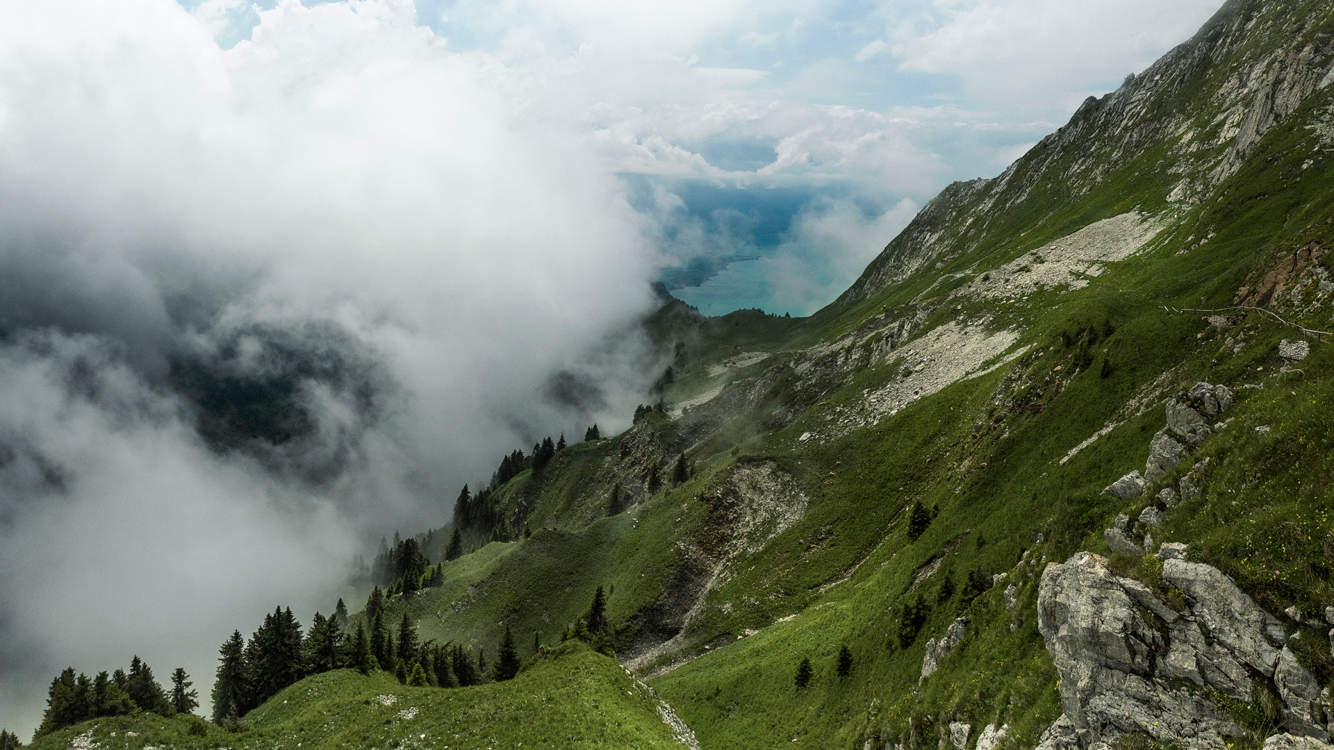 "Rochers du Naye"