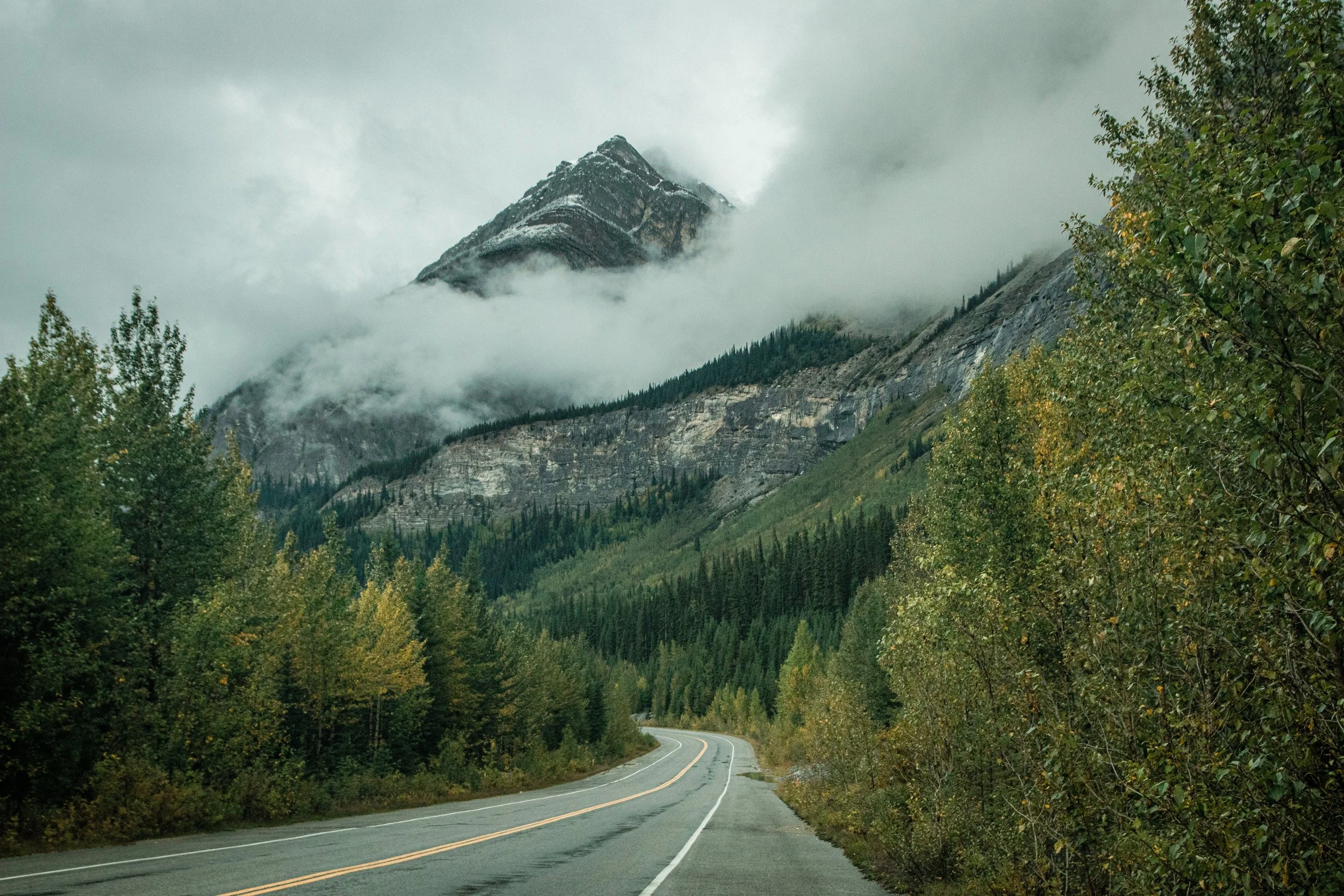 The road to Jasper, 2017