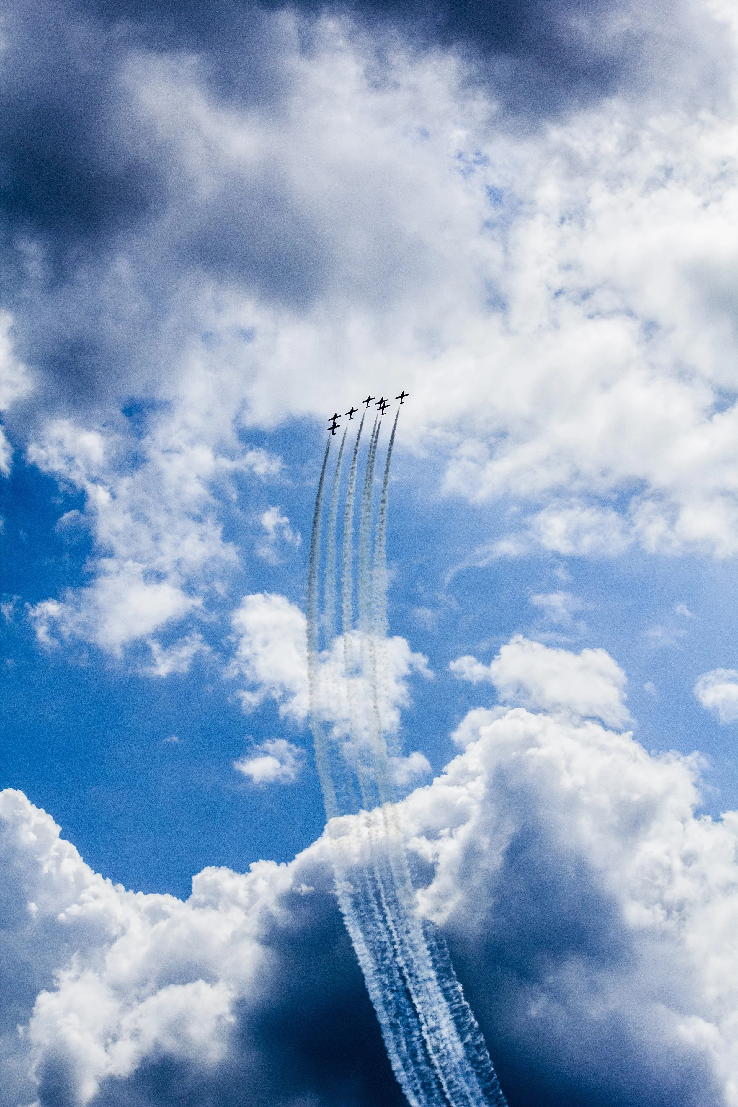 Dance of the SNowbirds, 2013