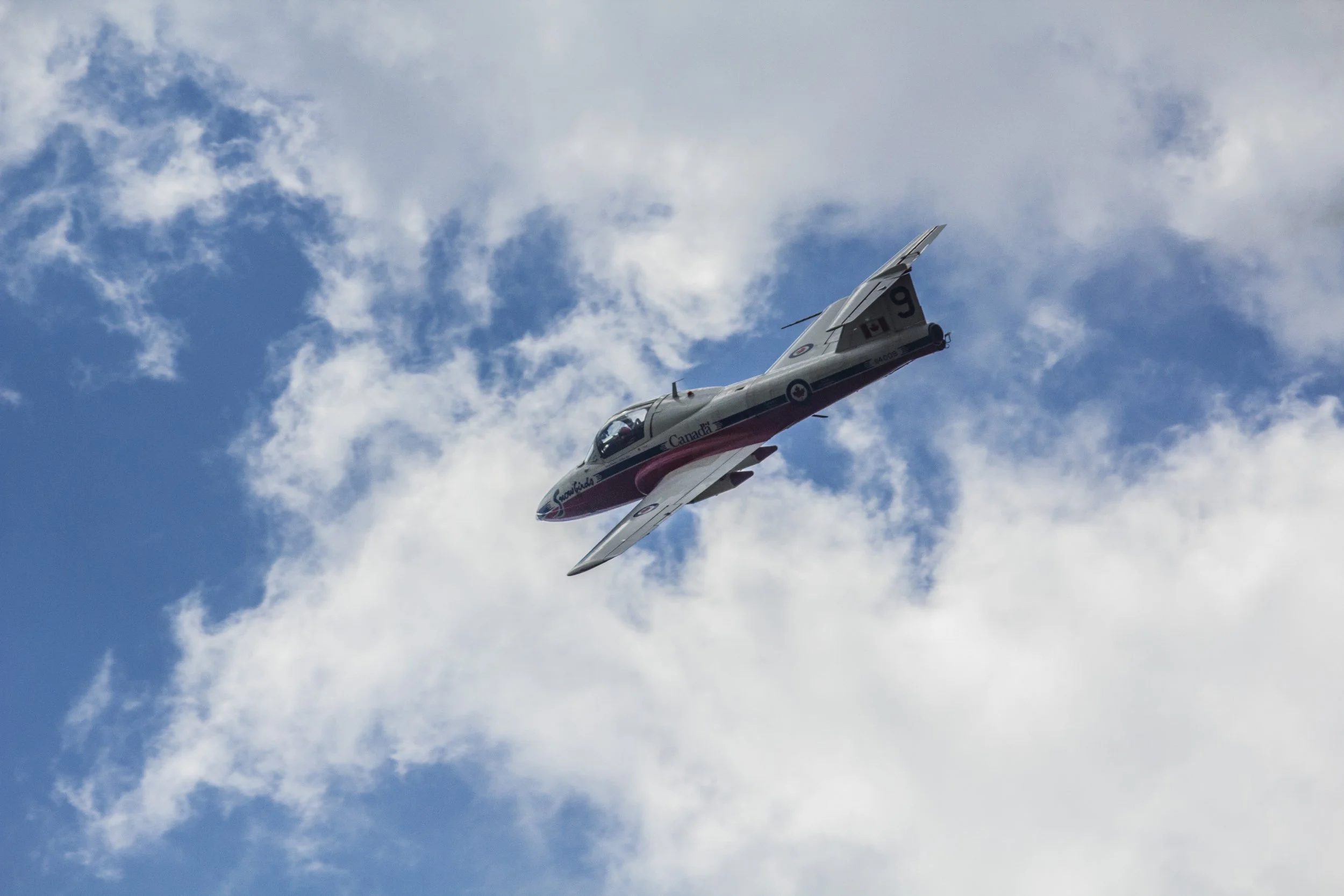 Snowbirds, 2013