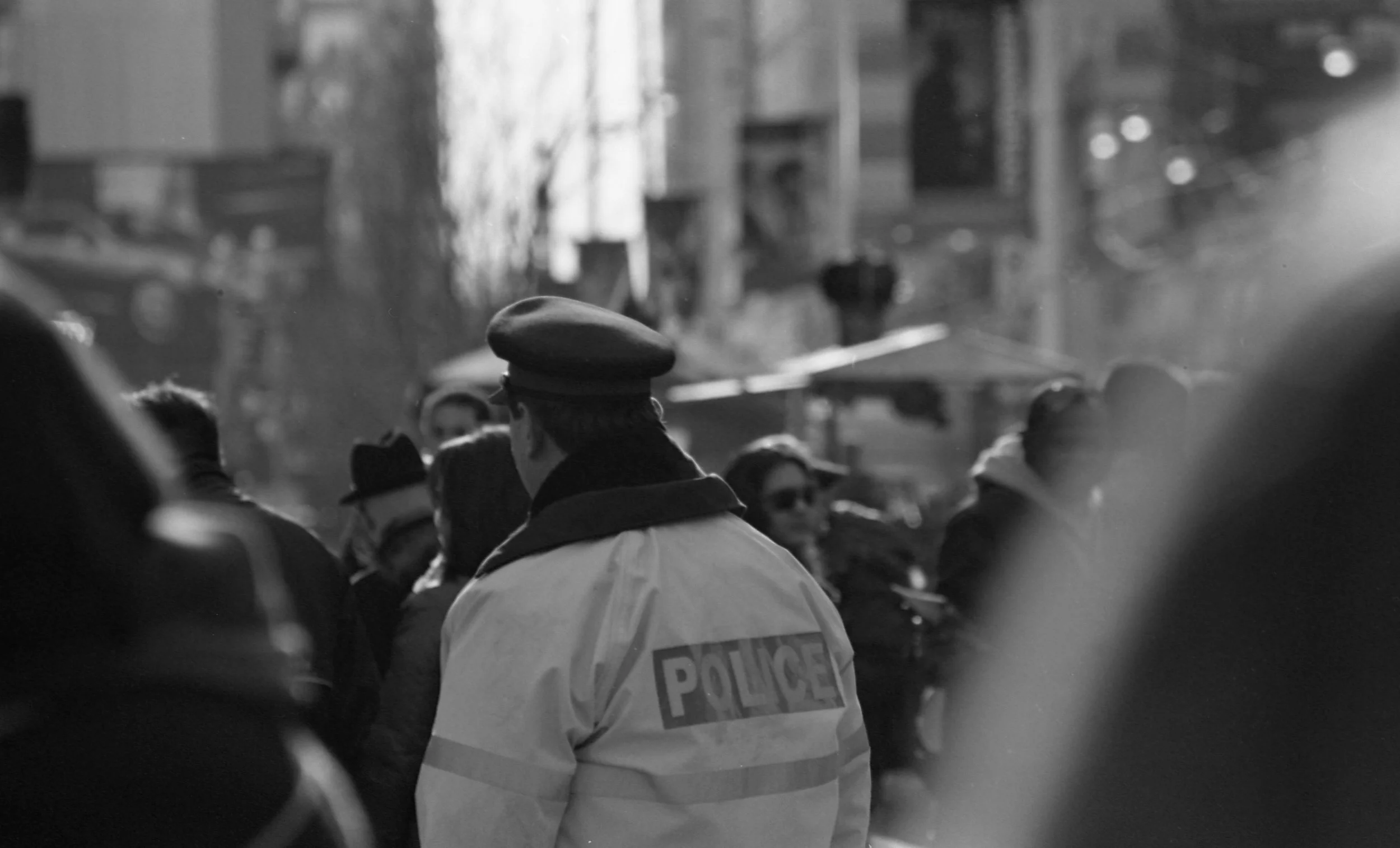 Police in Crowd, 2010