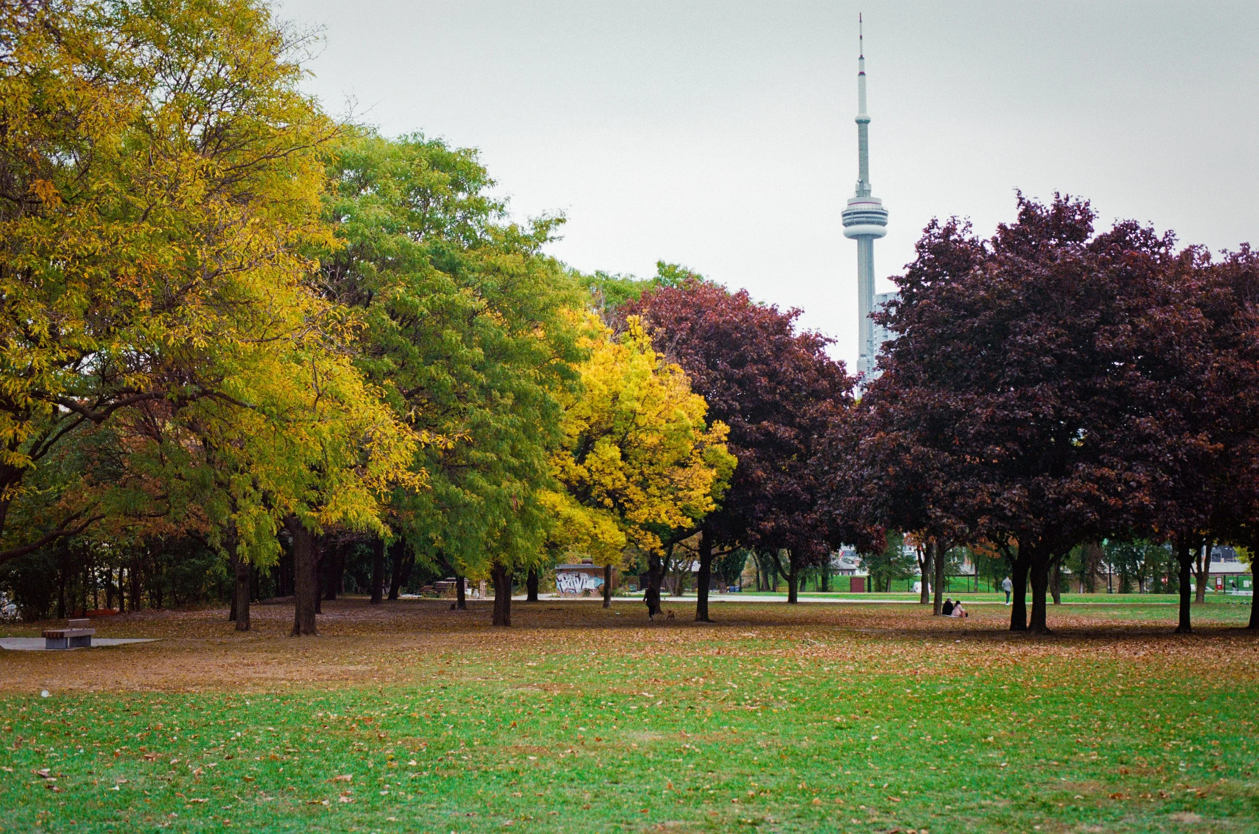 Fort York, 2020