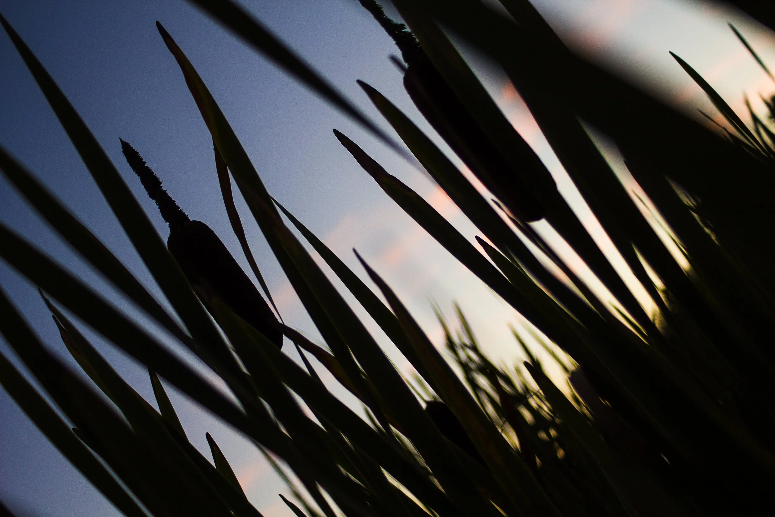 Calm Summer Night, 2014