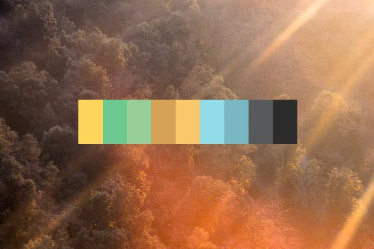 Go towards a warmer color palette with accent cool colors.