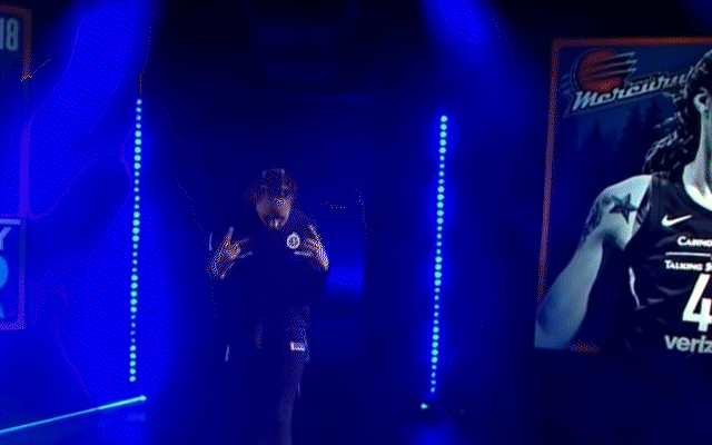 WNBA All star 2018 3.gif