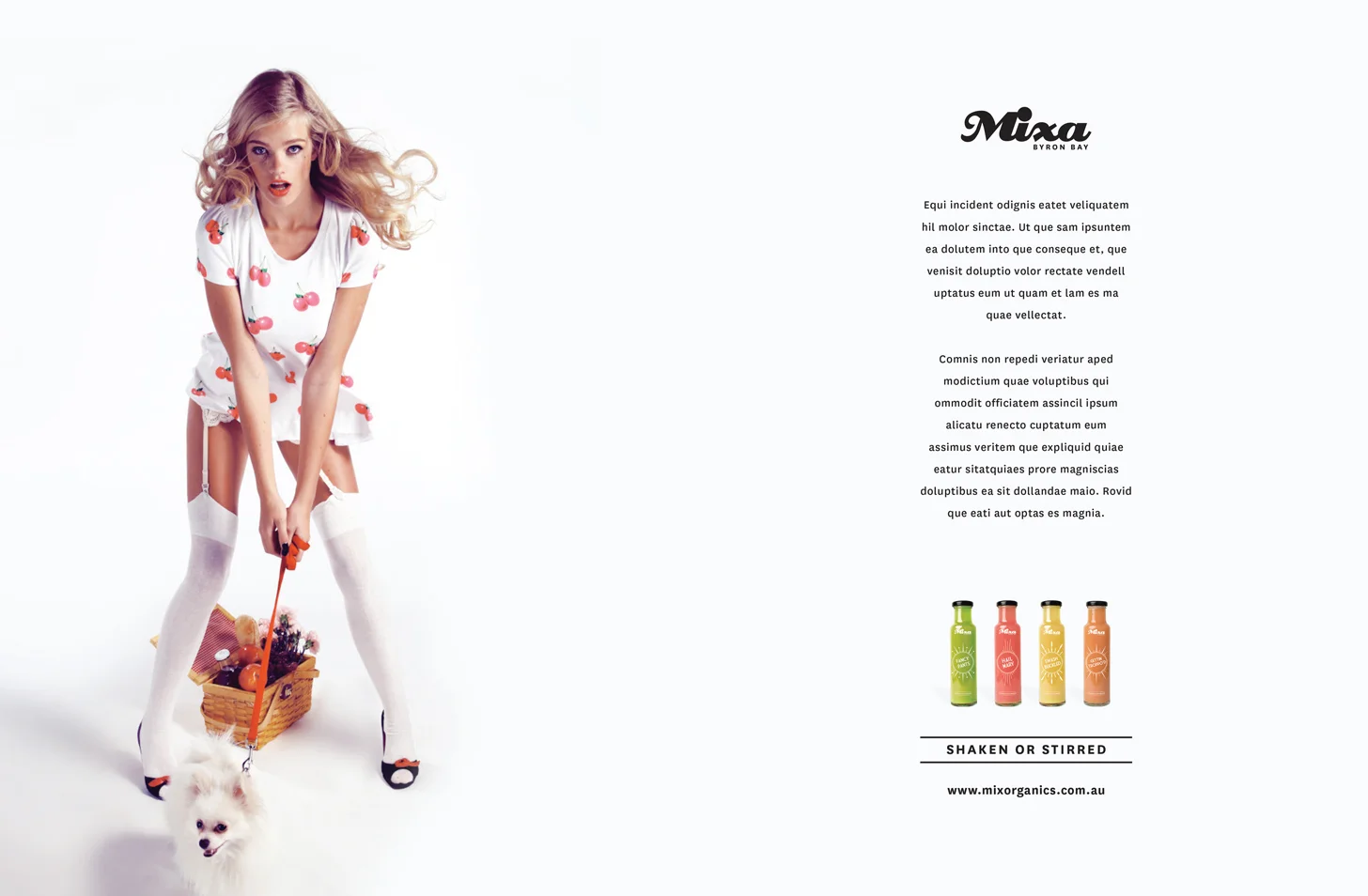 MIXA_DOUBLE_PAGE_AD_PRINT_GORE.jpg