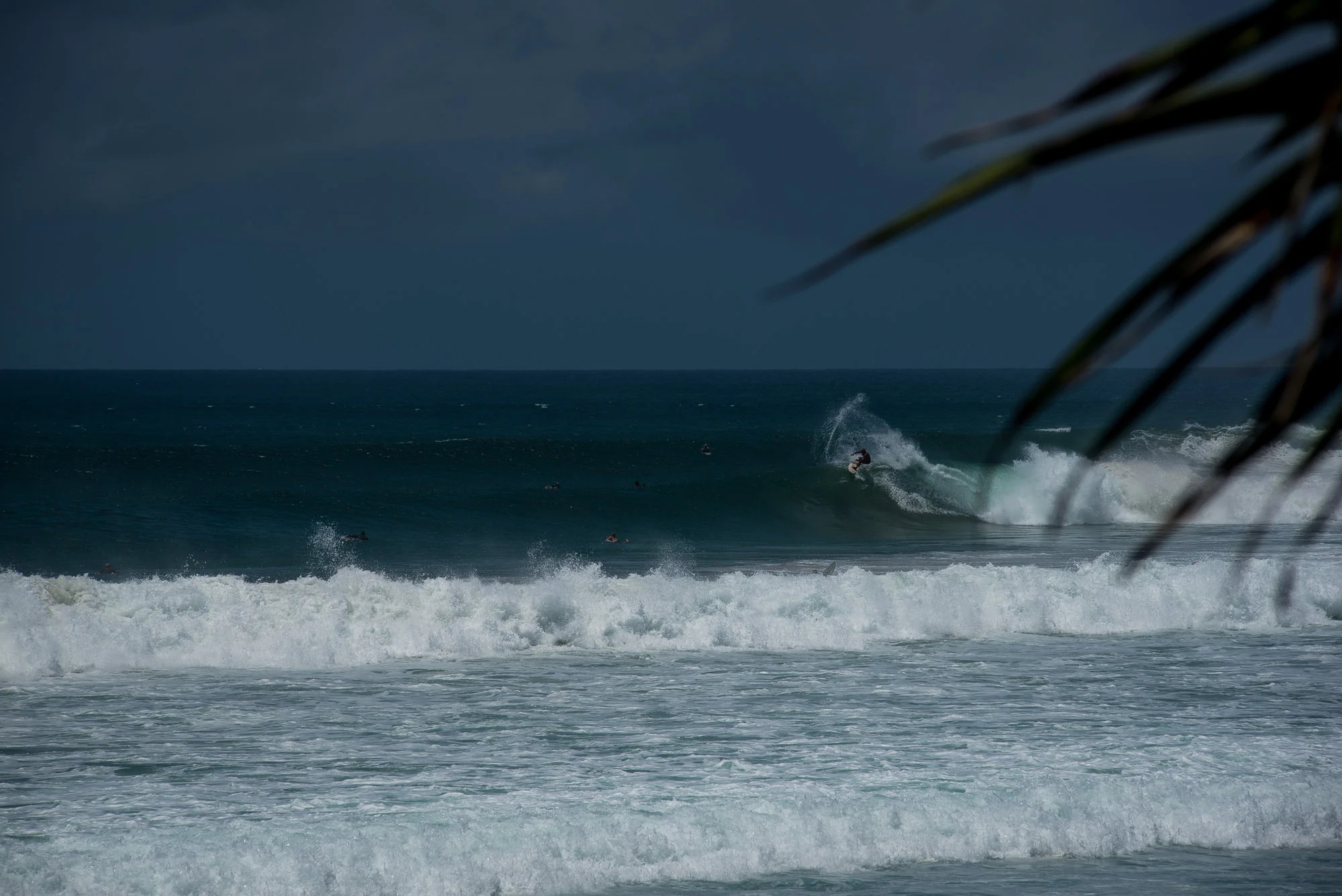DSC_7795.jpg