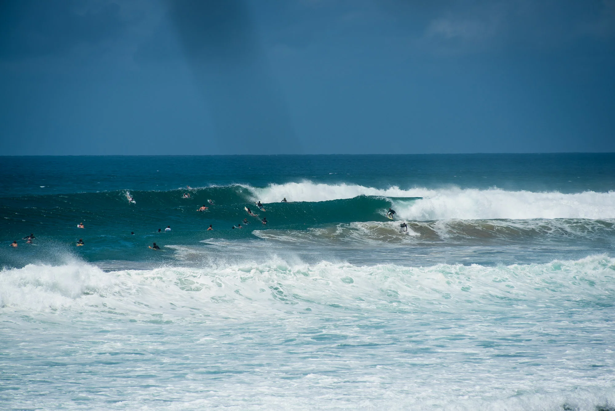DSC_7941.jpg
