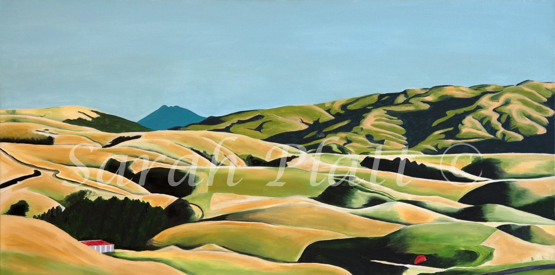 Whenua Tapu _wm.jpg