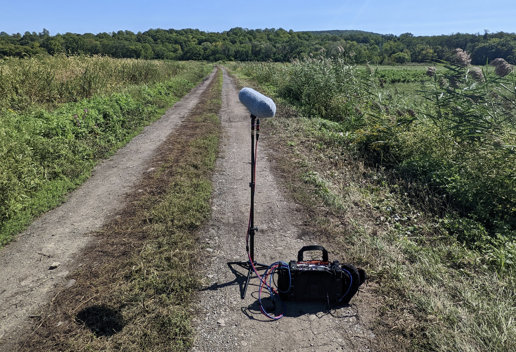 Screenshot 2026-02-12 at 11.29.38 PM.png