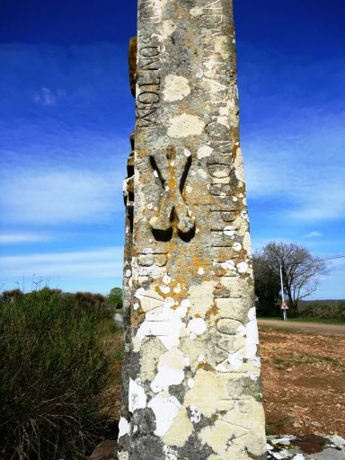 The Great French Wine Blight - The French countryside is dotted with Phylloxera crosses. Since nothing else appeared to stop its inexorable march, some viticulteurs turned to religion in a desperate attempt to rid the vines of this plague.