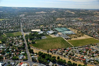 Stony Hill Vineyard pictured in 2009 before it was subdivided into housing.