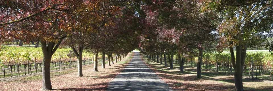 The view at Top Note Wines - https://www.topnote.com.au/contact.php