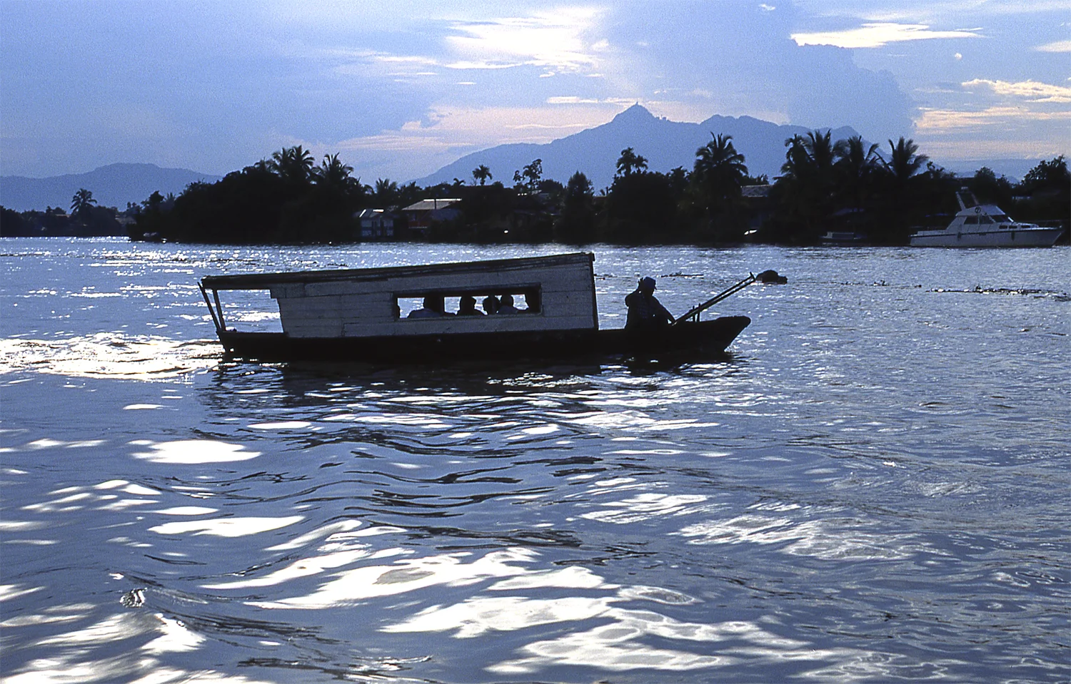 Kuching al atardecer